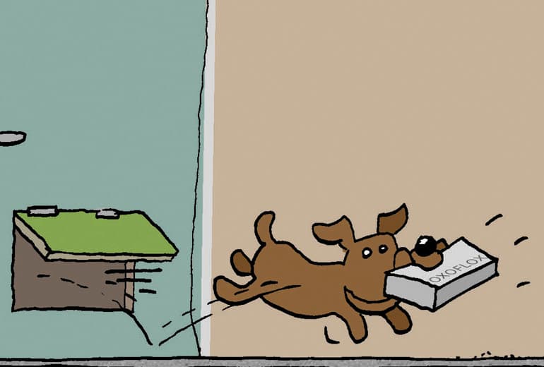 Tekst en illustraties: Herman Roozen