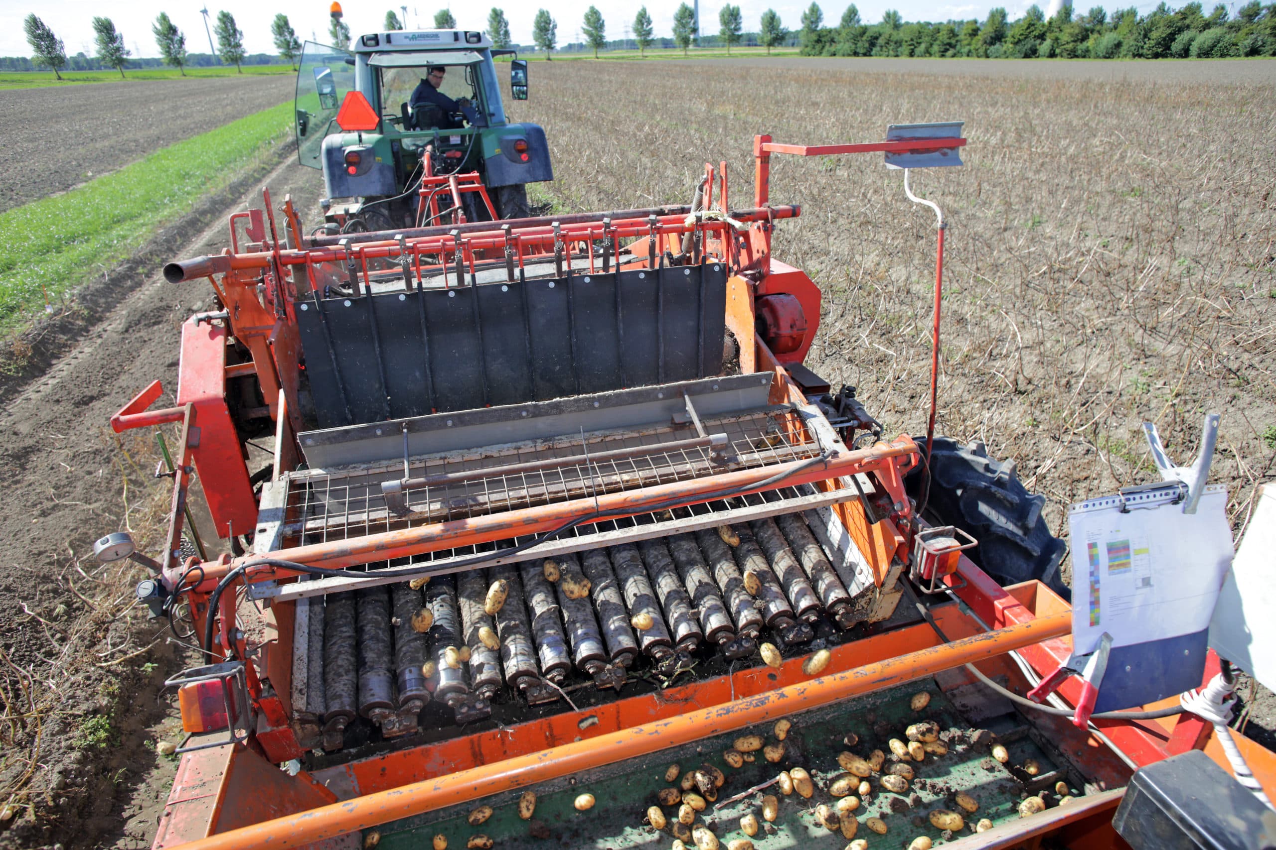 Biologische akkerbouw. - Foto: Ton Kastermans Fotografie