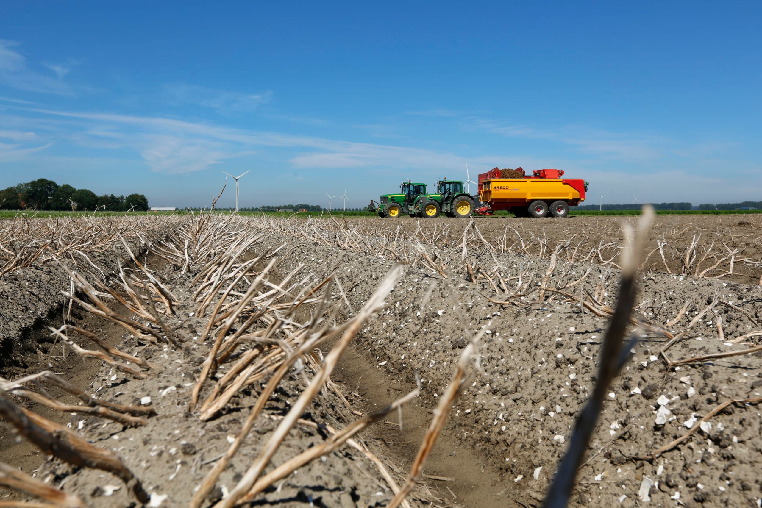 Oogst van pootgoed in Wieringerwerf. Nederland moet zijn goede positie in pootgoed niet op het spel zetten door te gaan experimenteren met nieuwe gentechnieken, vindt Bertus Buizer. Foto: Henk Riswick