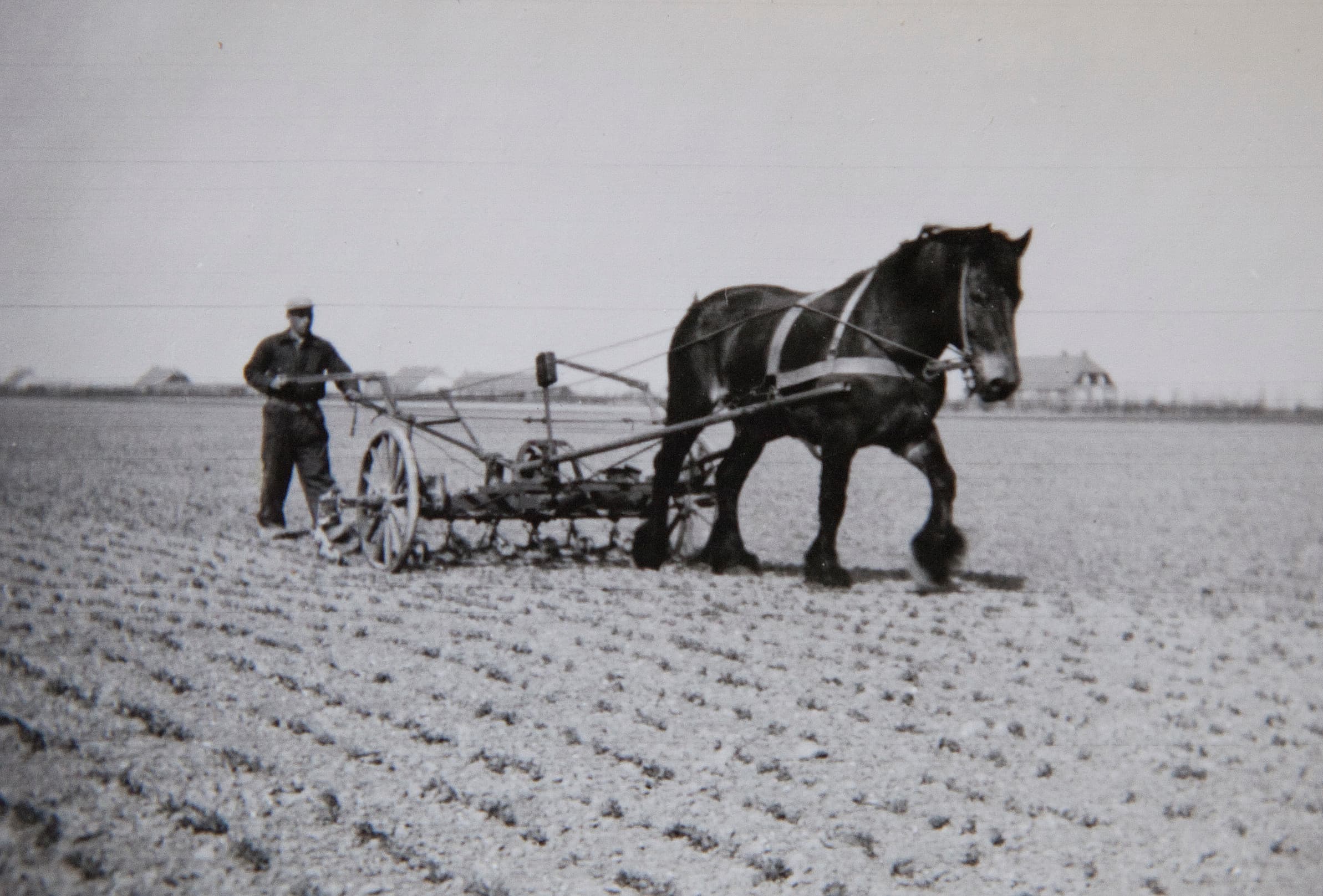 De Noordoostpolder, in het prille begin. - Foto: Jan Willem Schouten