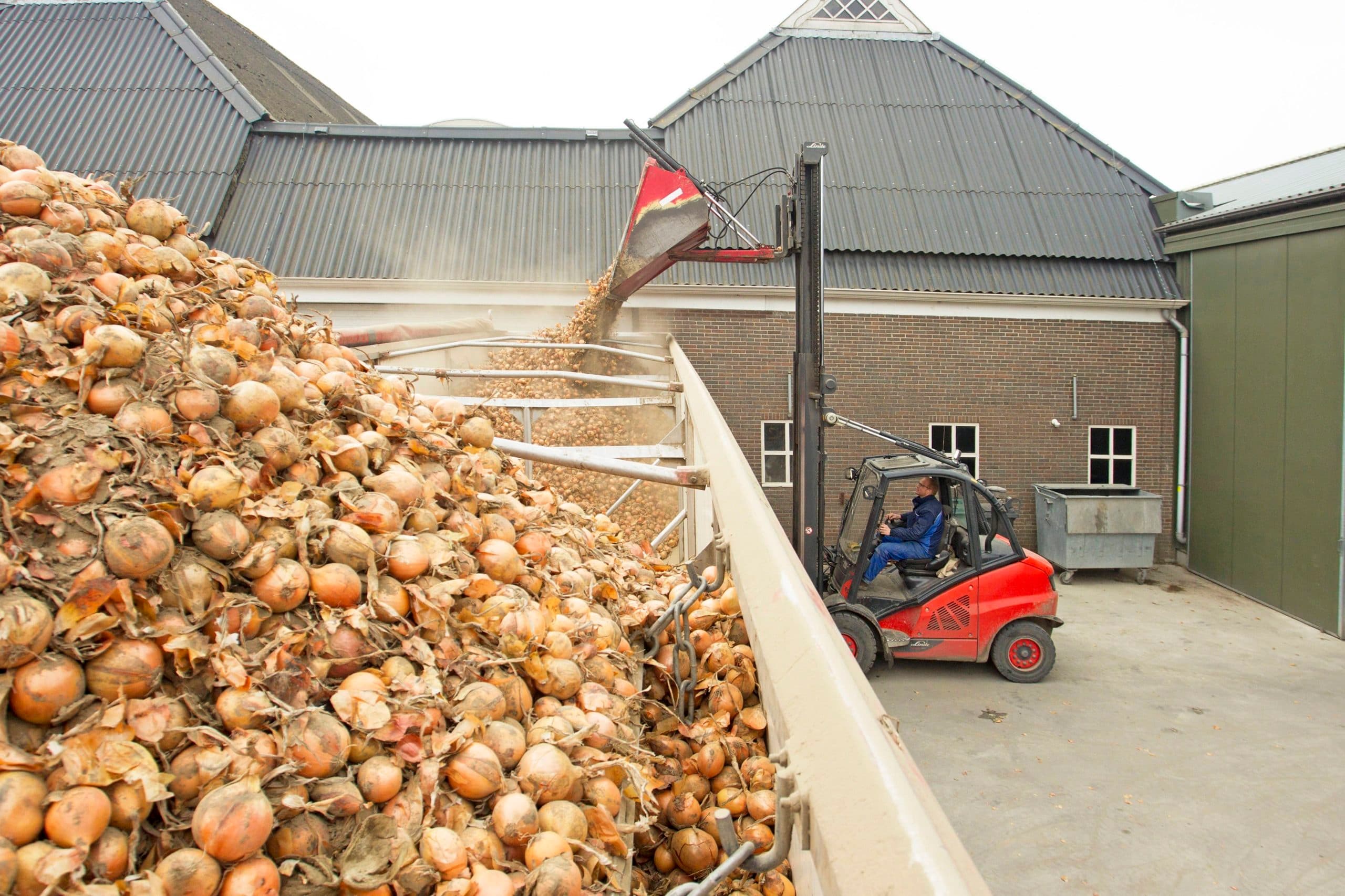 foto: Koos van der Spek