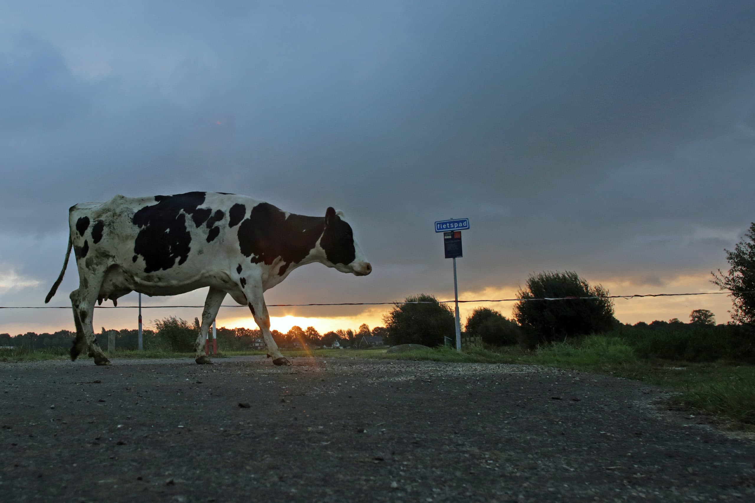 Foto: Ton Kastermans Fotografie