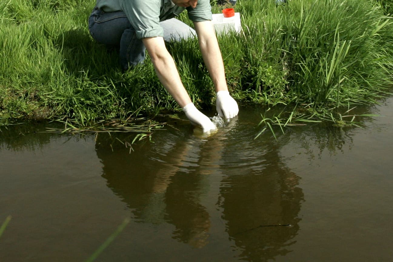 Foto: Roel Dijkstra