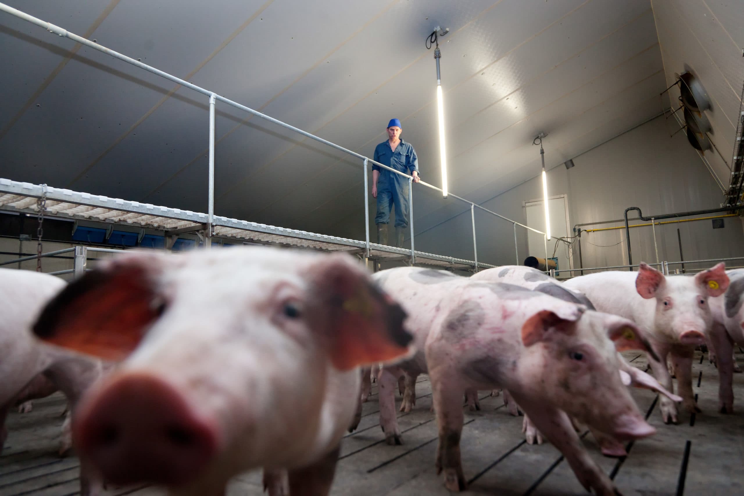 Foto: Joris Telders