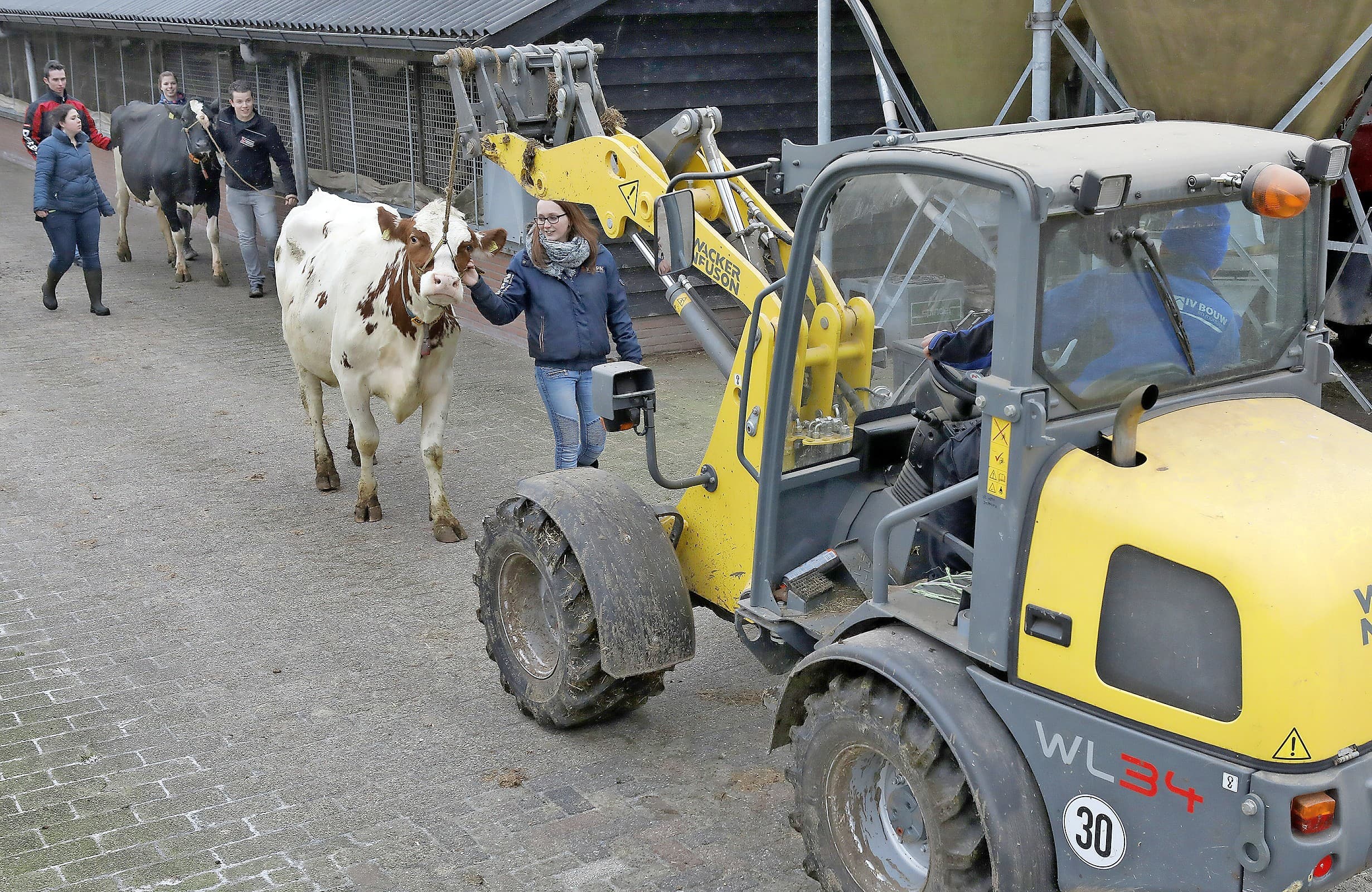 Op 1 januari 2017 bestond de Stichting Veehandelscentrum Noord-Nederland vijftien jaar. Dat werd vorige week woensdag gevierd. Op de veemarkt, beter bekend als Veemarkt Leeuwarden, vindt er nog drie keer per week handel plaats. Op de woensdagavond is er de koeienmarkt die nog altijd veel bezoekers trekt. Veel van hen zijn op leeftijd. De karakteristieke stofjas en stok zullen nooit verdwijnen. - Foto: Anne van der Woude