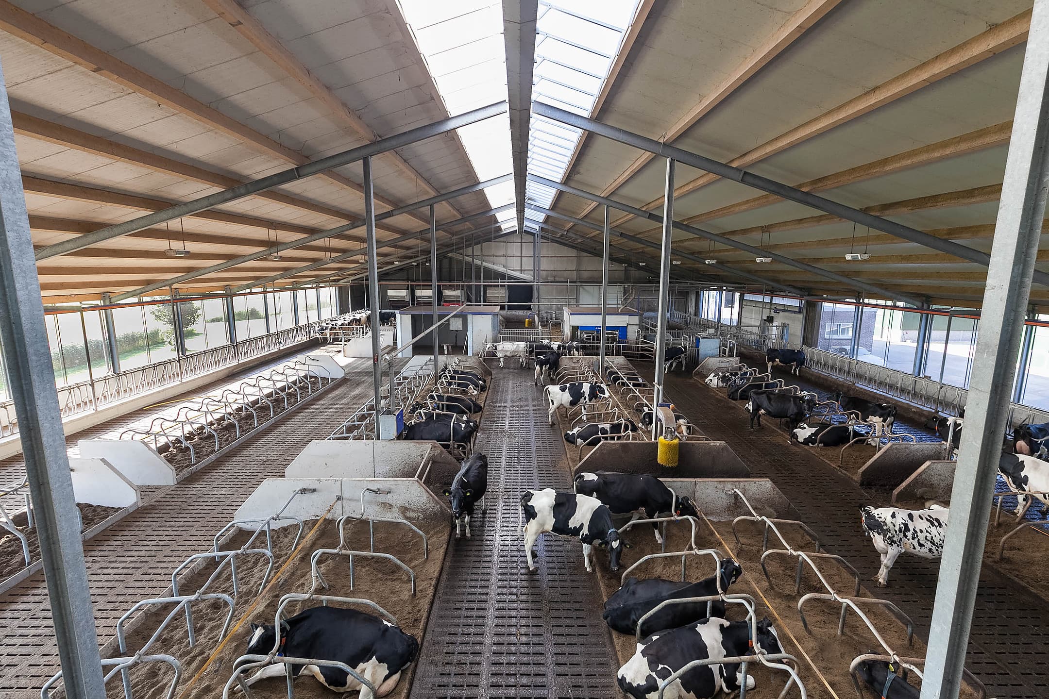 De vraagprijs is ¬ 4,5 miljoen. Daarvoor krijgt de koper een stal voor bijna 160 melkkoeien, twee loodsen en circa 40 hectare landbouwgrond. Makelaar: Schep Makelaardij, Schoonhoven (Z.-H.).
