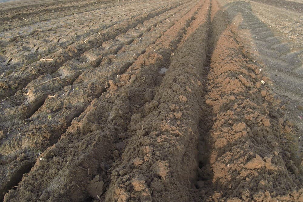 Het perceel is afgelopen najaar gekilverd en tussen gedraineerd, waarmee de drains nu op 6 meter uit elkaar liggen.