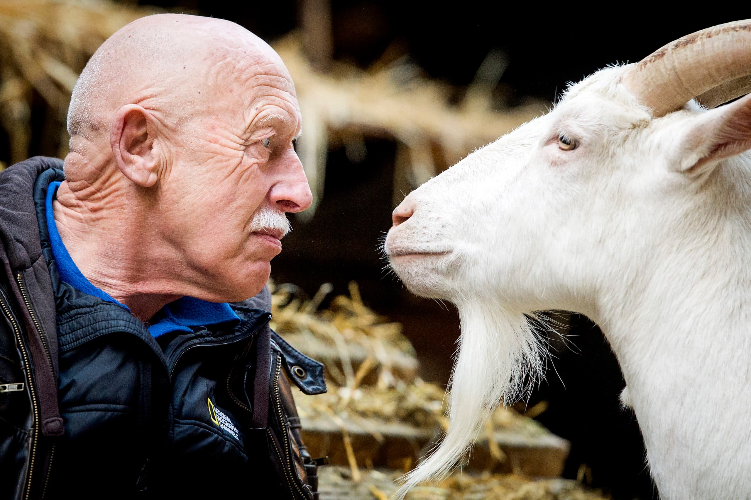 The Incredible Dr. Pol - Foto: ANP