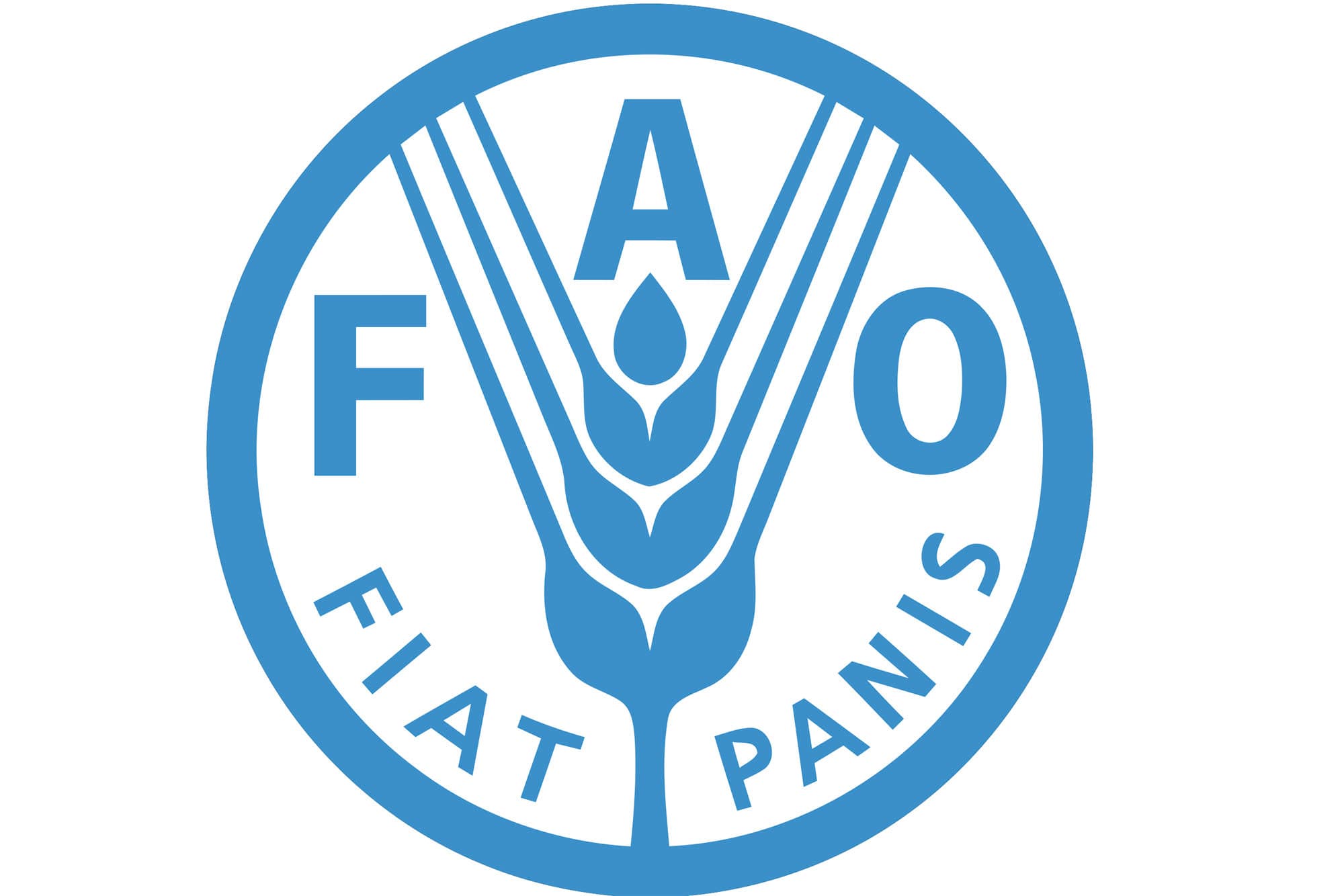 Foto: FAO