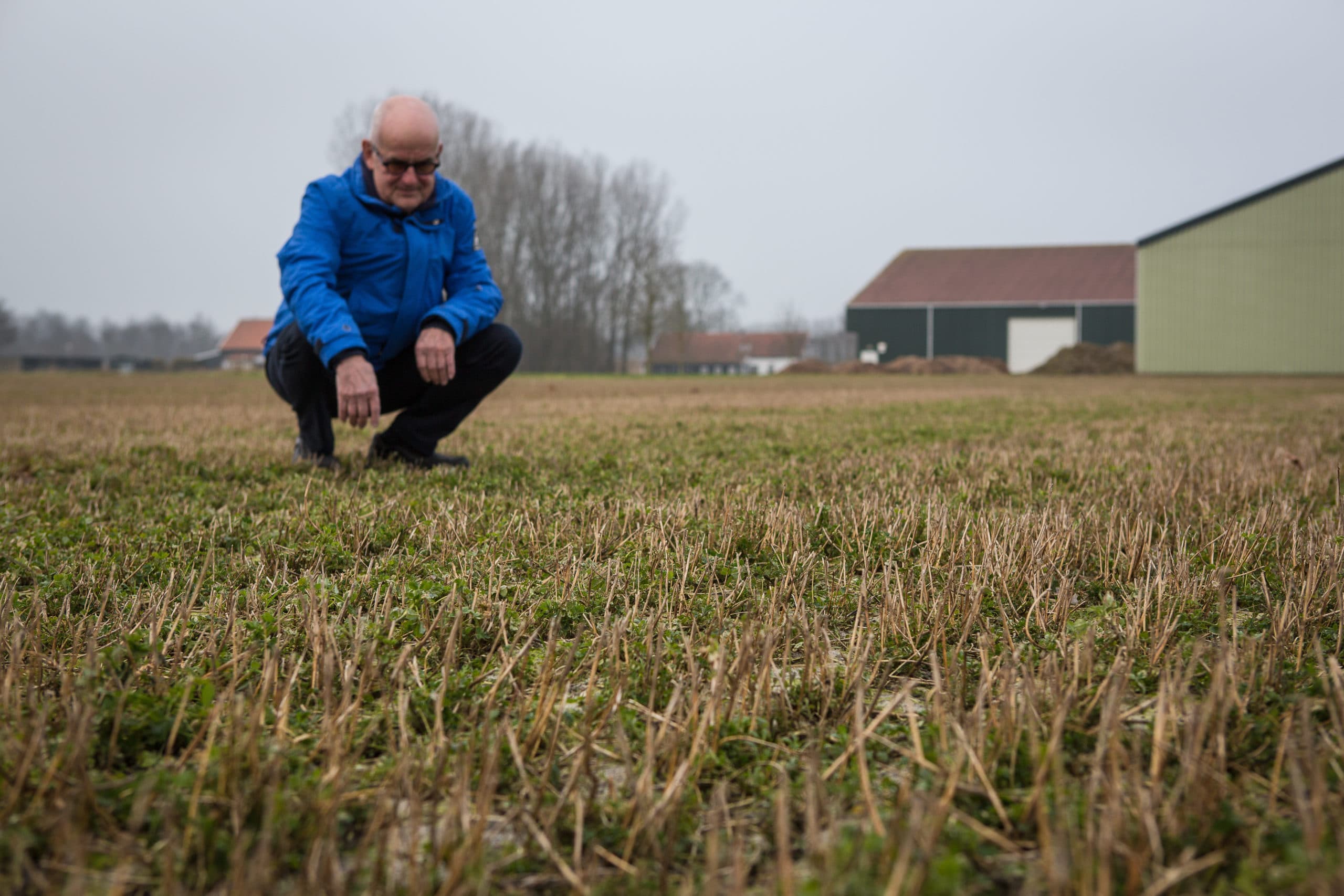 Foto: Peter Roek