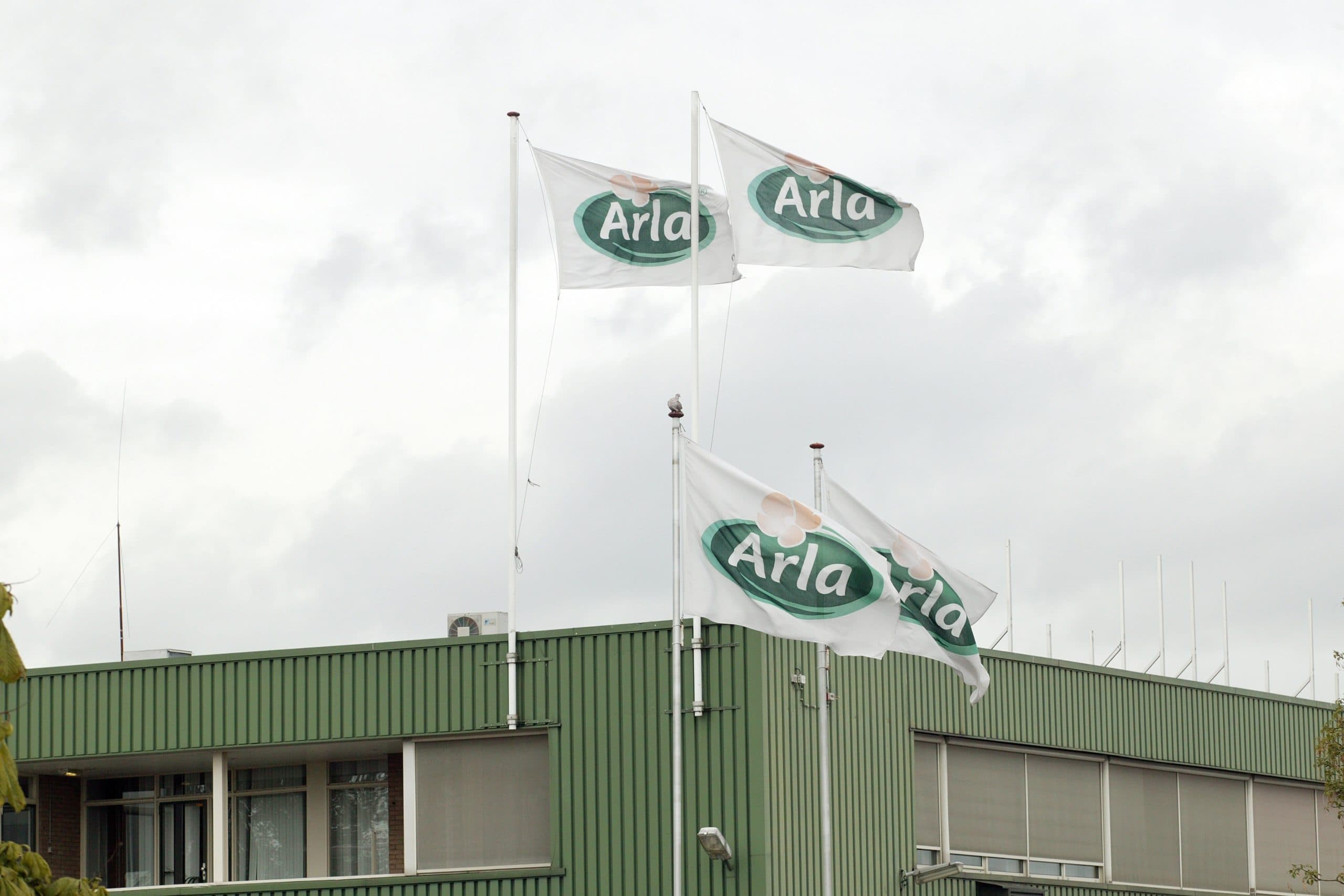 Arla verhoogde voor de zes maand de melkprijs. Voor Nederlandse melkveehouders komt de uitbetaalprijs daarmee uit op ¬ 36,48 per 100 kilo. - Foto: Ton Kastermans
