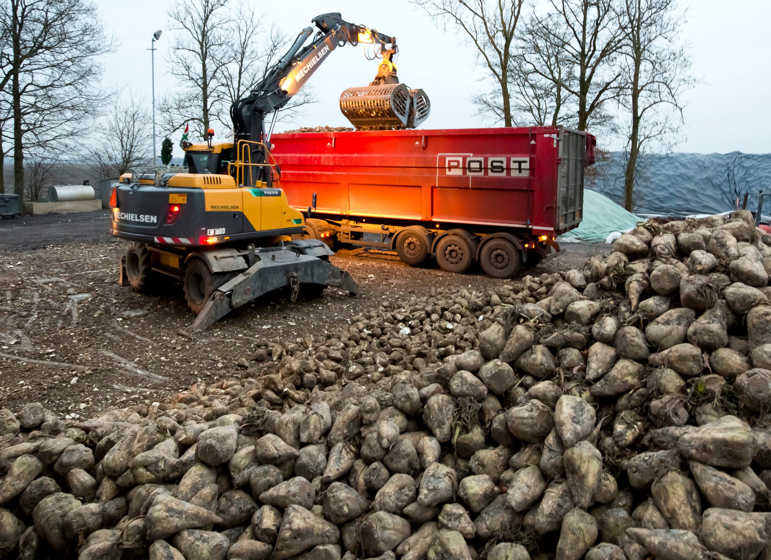 Foto: Ruud Ploeg