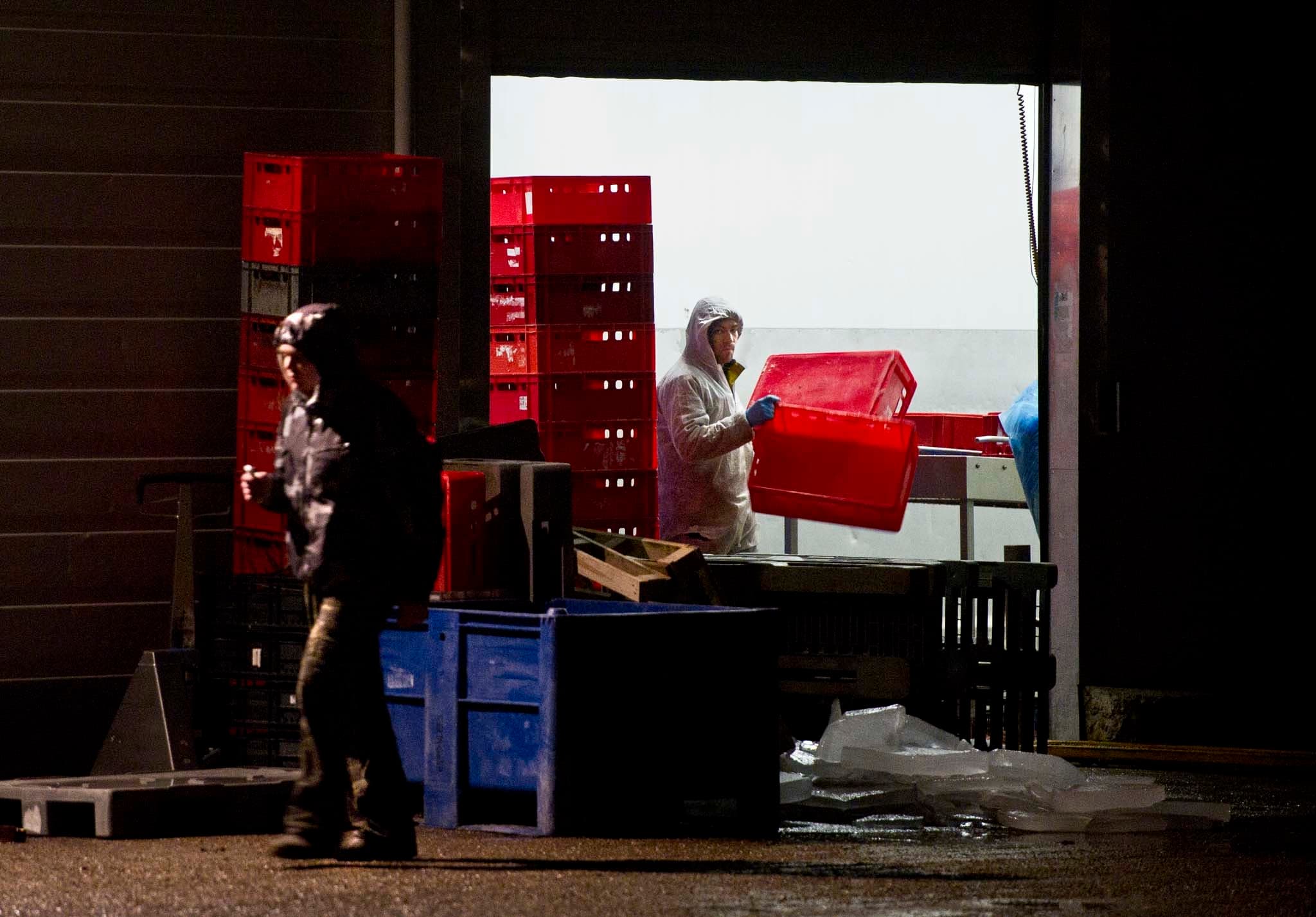 Medewerkers aan het werk bij vleesverwerker Willy Selten in Oss, waar De Nederlandse Voedsel- en Warenautoriteit (NVWA) in februari 2013 een inval heeft gedaan. Foto: ANP