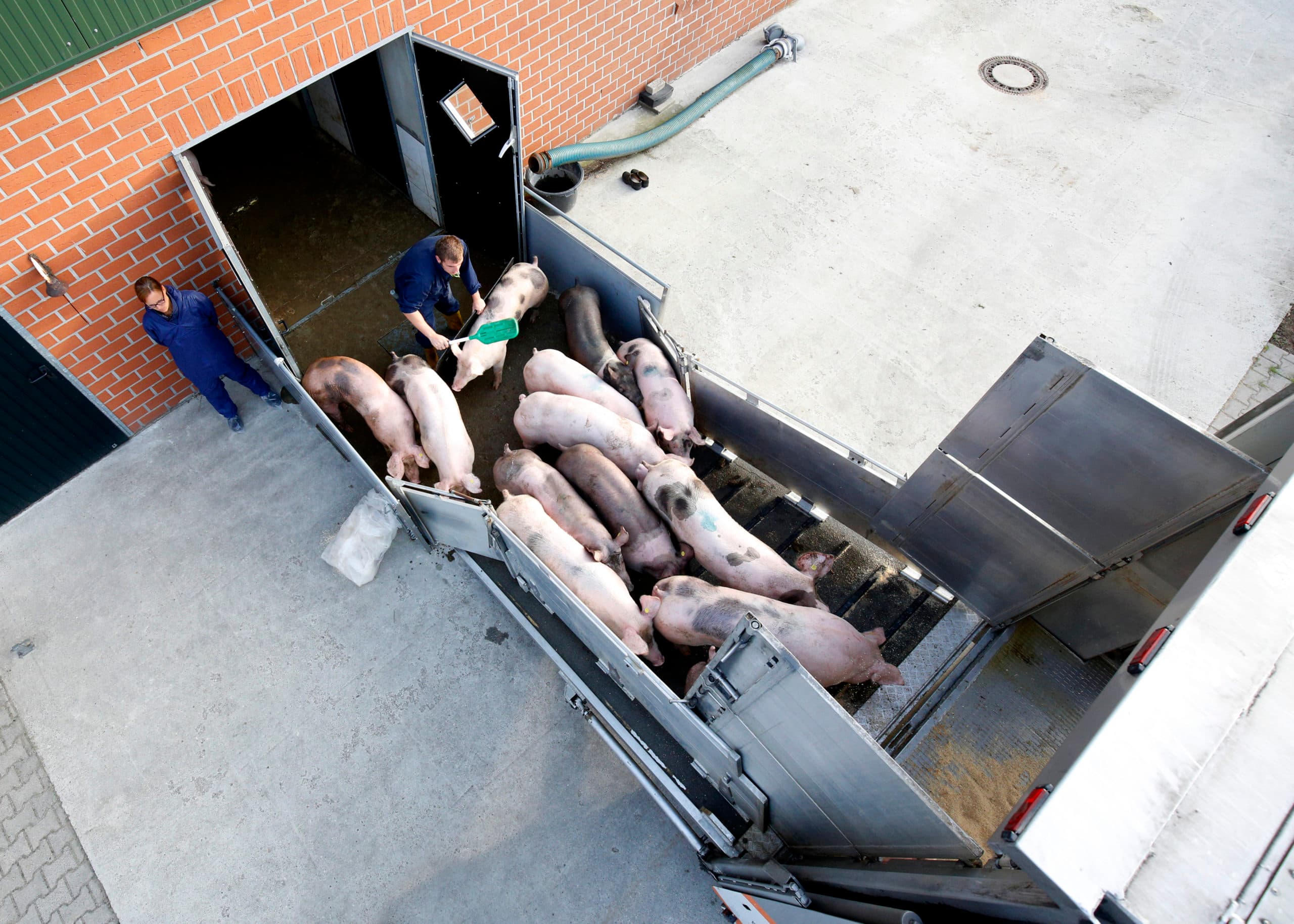 Foto: Ruud Ploeg Fotografie