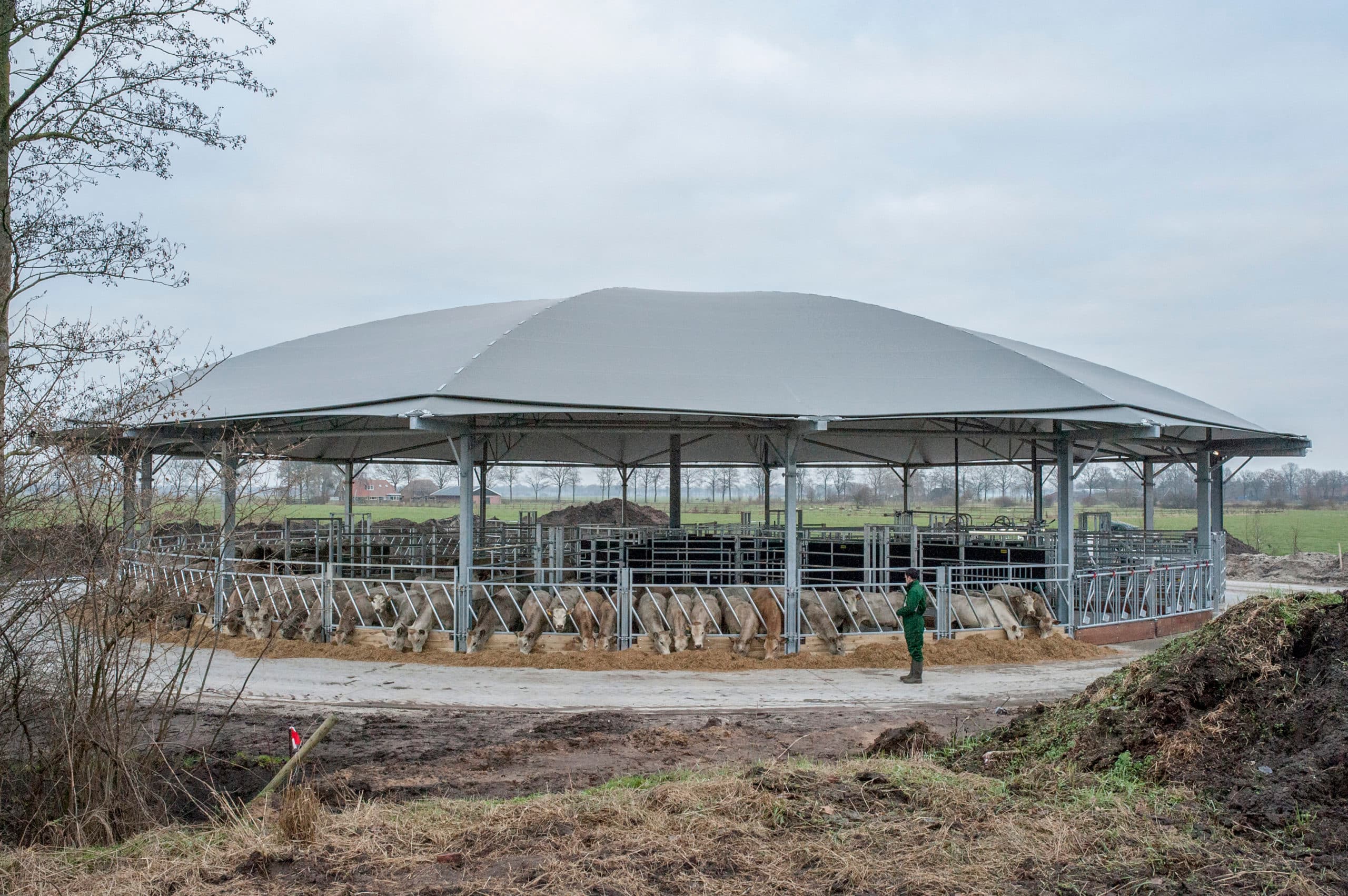 De roundhouse-stal van Jurjën en Ingrid Kuipers is nummer acht in Nederland, zegt Erik Lindeboom van ID Agro, bouwer van innovatieve huisvestingsystemen (serrestal, koeientuin). ID Agro is sinds mei van dit jaar eigenaar van het in Engeland ontwikkelde concept, vertelt Lindeboom. De ronde stal is in beginsel ontworpen voor vleesvee, maar kan ook fungeren als huisvesting van melkvee, varkens of zelfs herten. ID Agro plaatst dit type stal in heel Europa. Dat gebeurt volgens Lindeboom met name in Duitsland, Frankrijk en ook Denemarken en Litouwen. In Nederland zijn er twee in aanbouw, waarvan een bijzondere: in Swifterbant wordt een ronde stal van hout gebouwd op een biologisch bedrijf met vleesvee en akkerbouw.