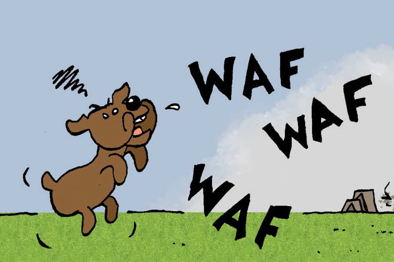Tekst en illustraties: Herman Roozen