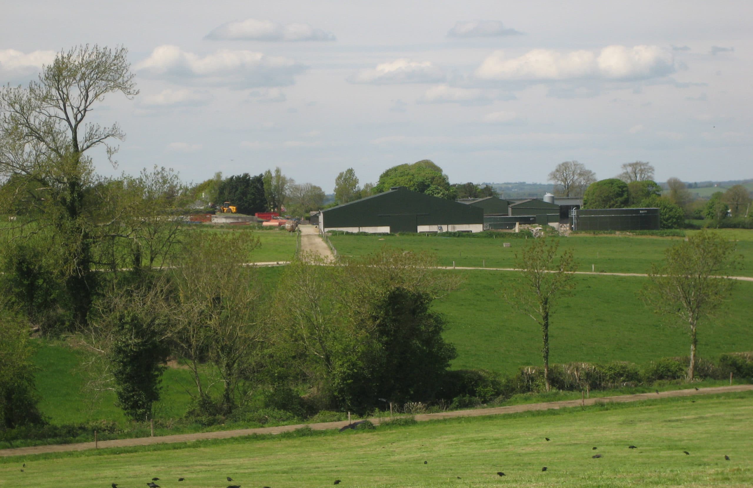 Foto: Boerderij