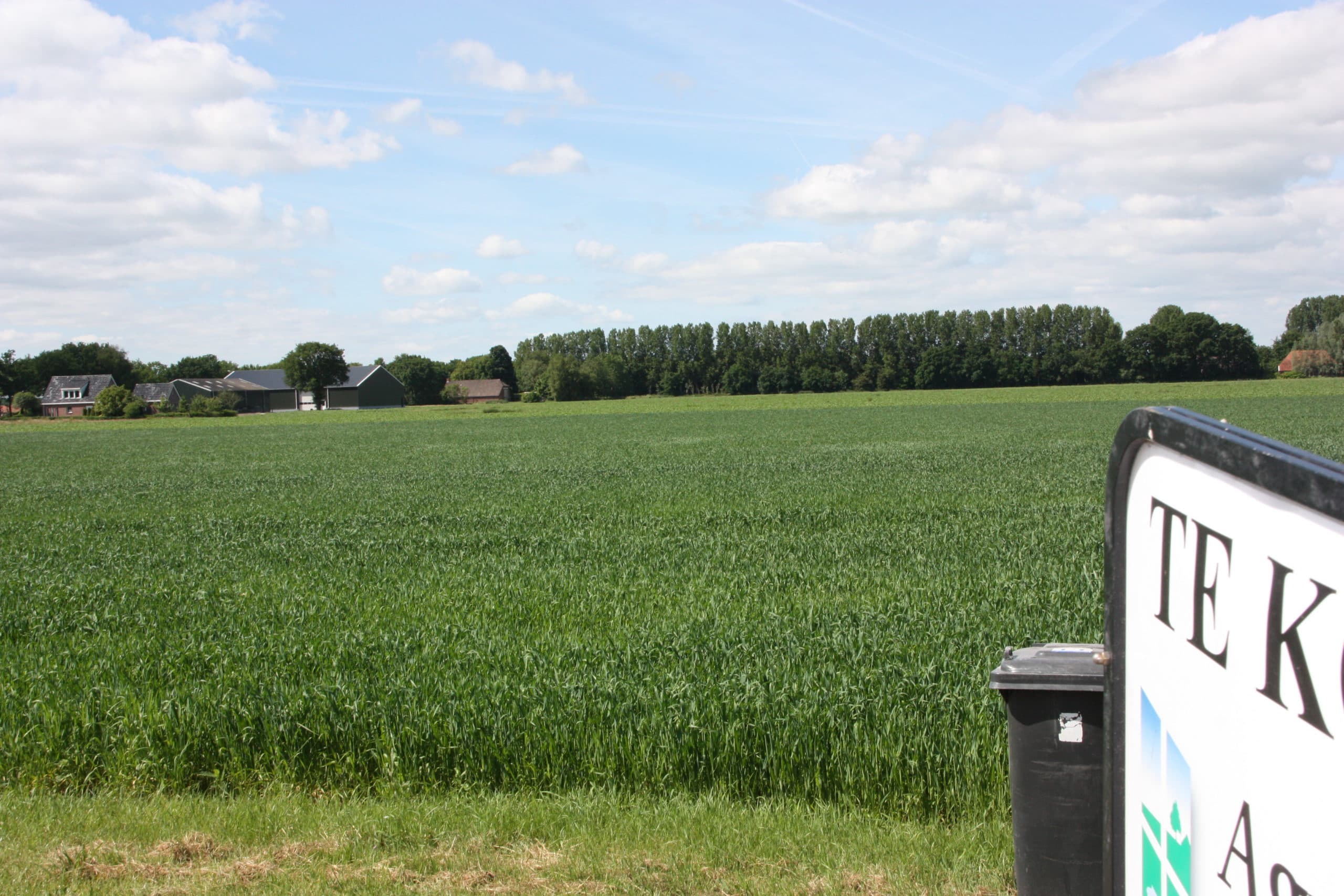 Foto: Martijn ter Horst