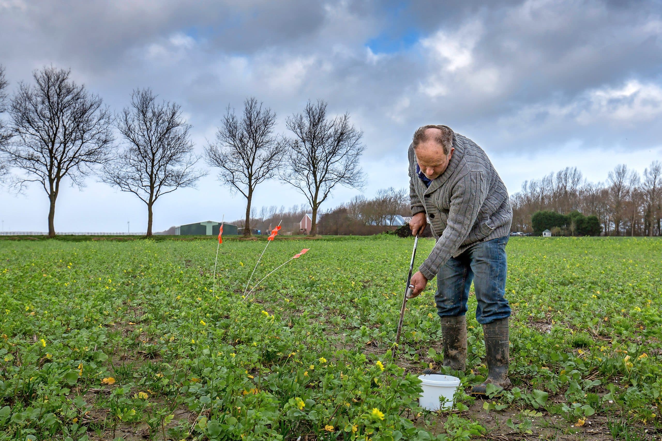 Het nemen van een grondmonster voor onderzoek chitwoodi. - Foto: Diederik van der Laan
