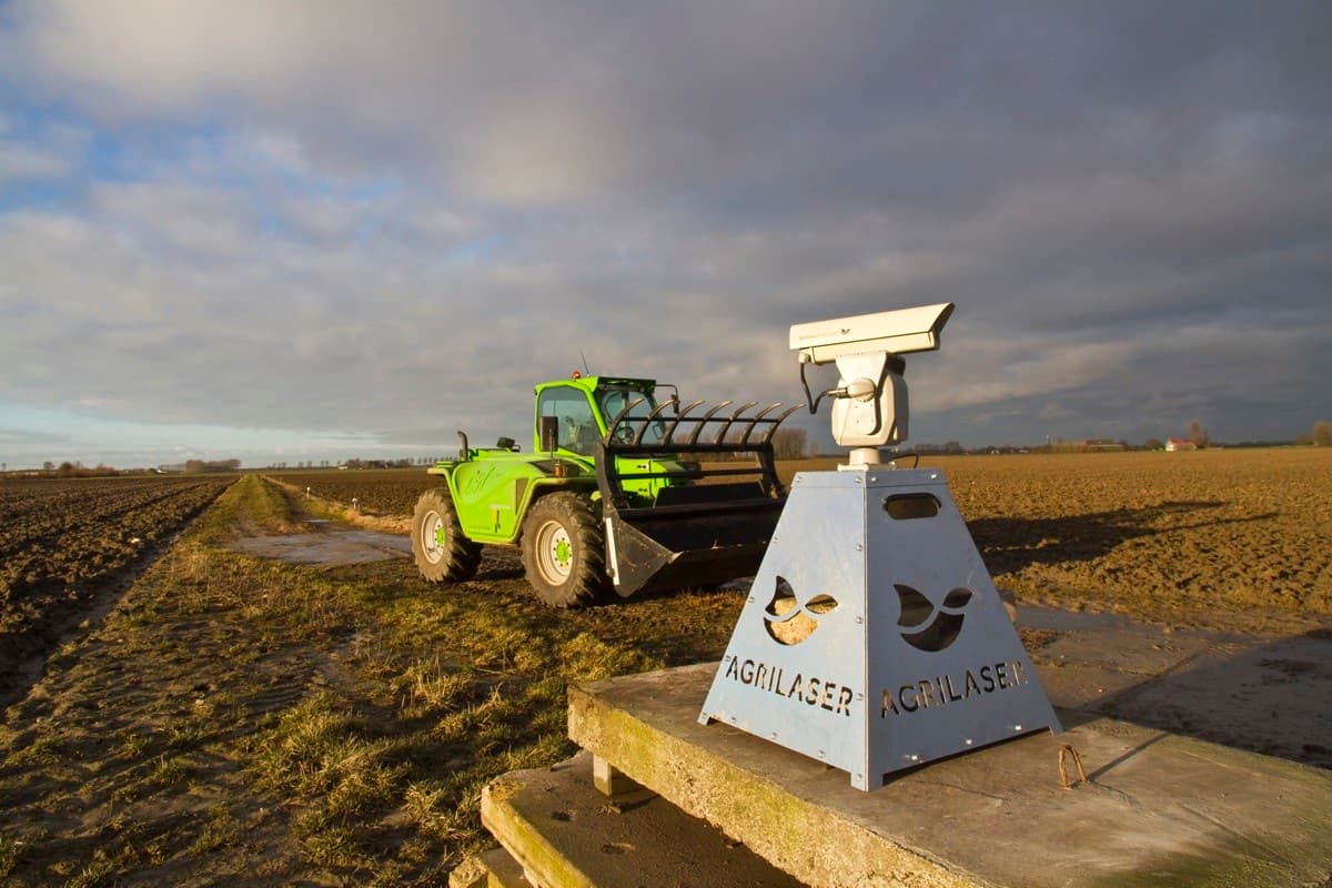 Ganzen verjagen met laserstralen, hoe goed werkt dat? Het gaat worden onderzocht. - Foto: Bird Control Group