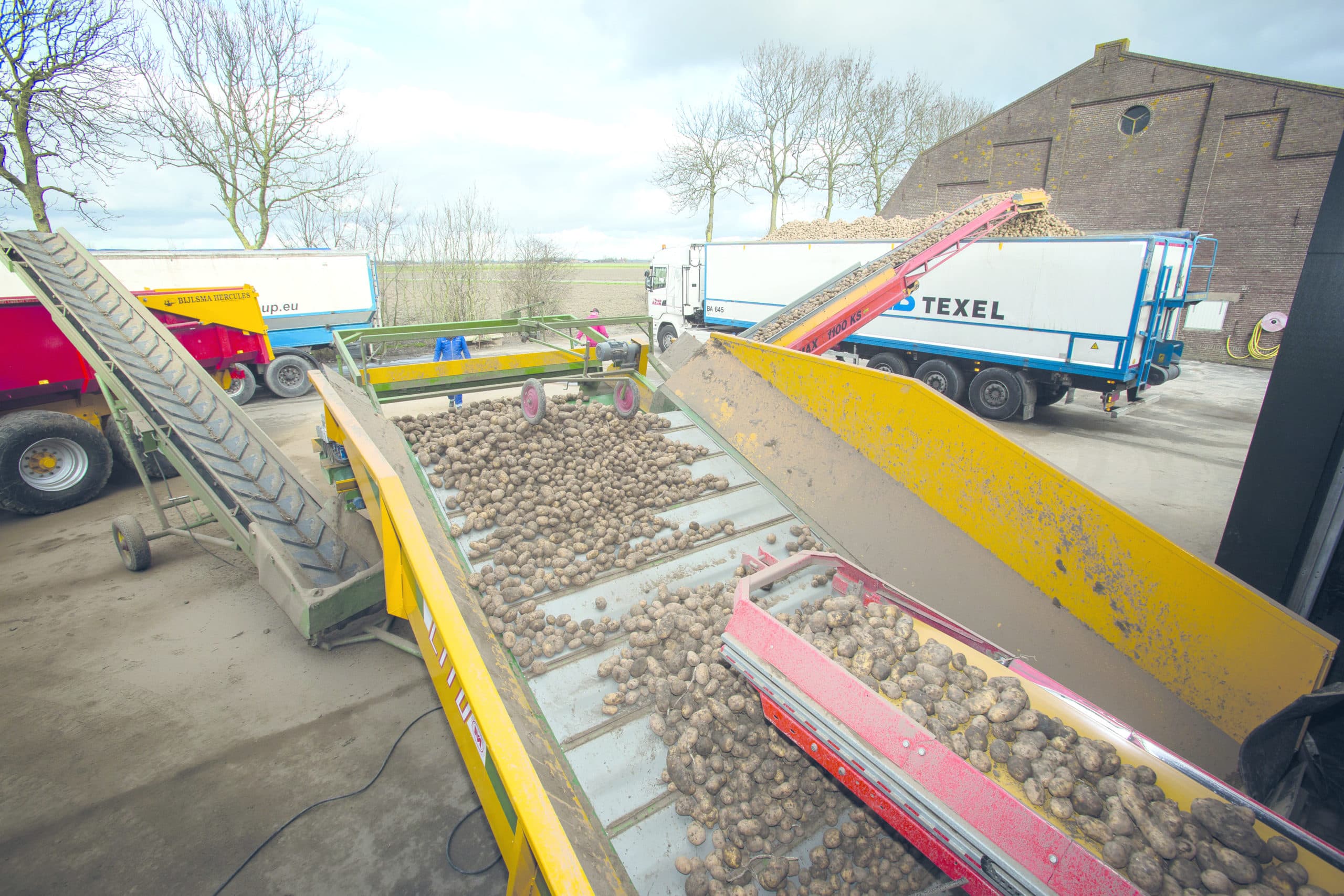 Foto: Peter Roek