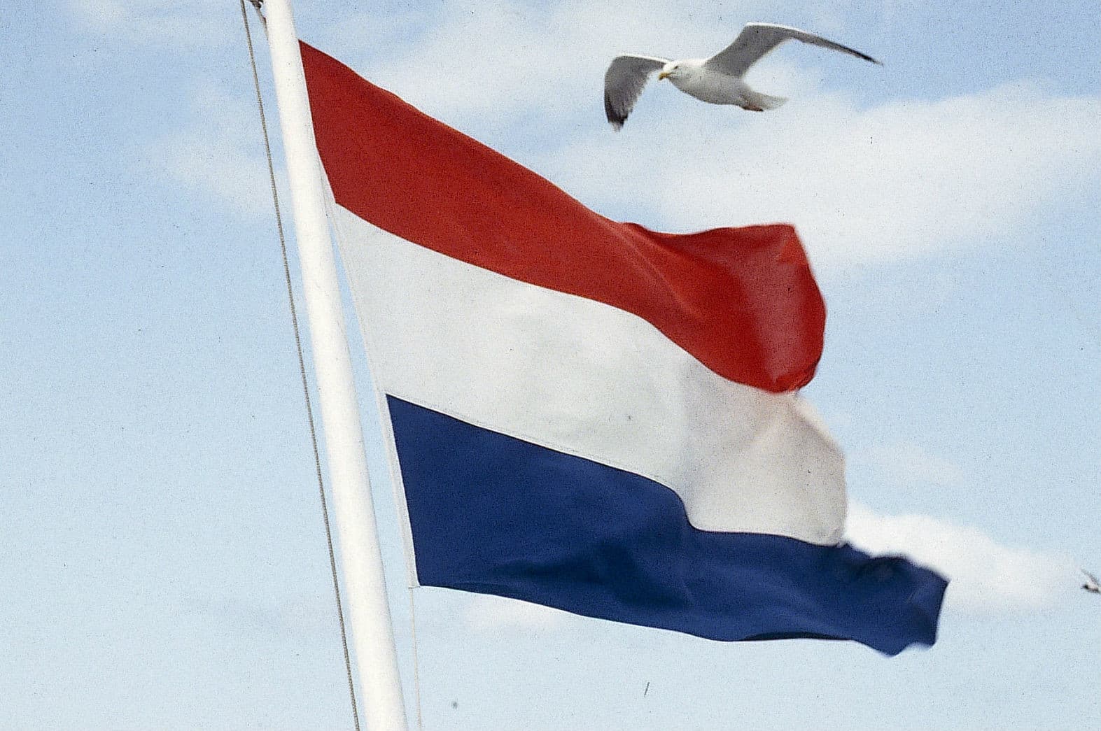 Foto: Elsevier
