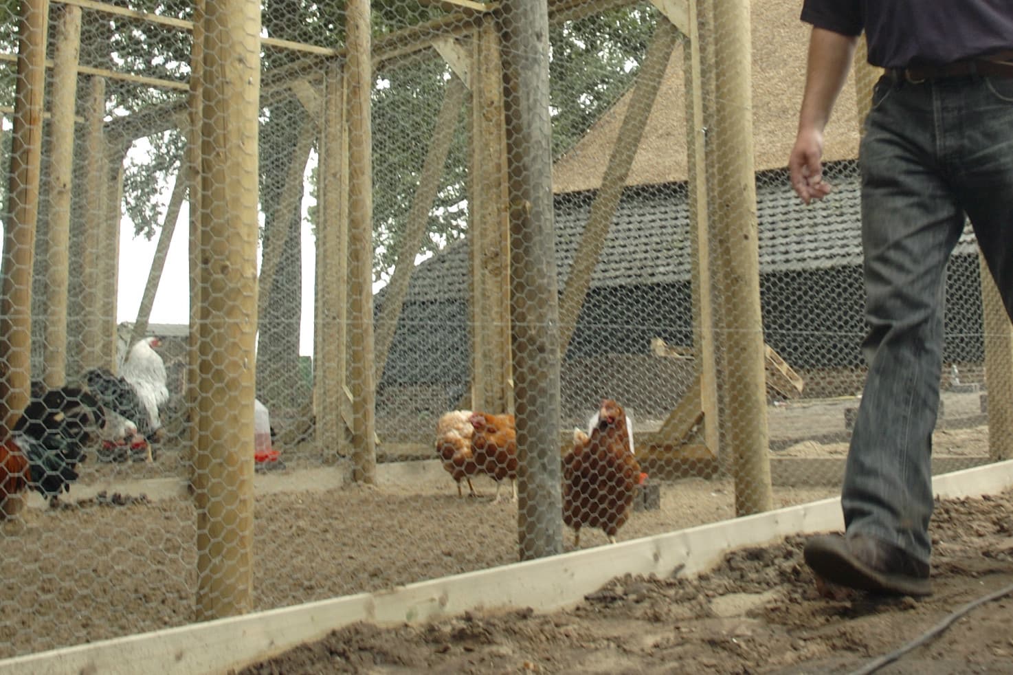 Foto: Frank Uijlenbroek