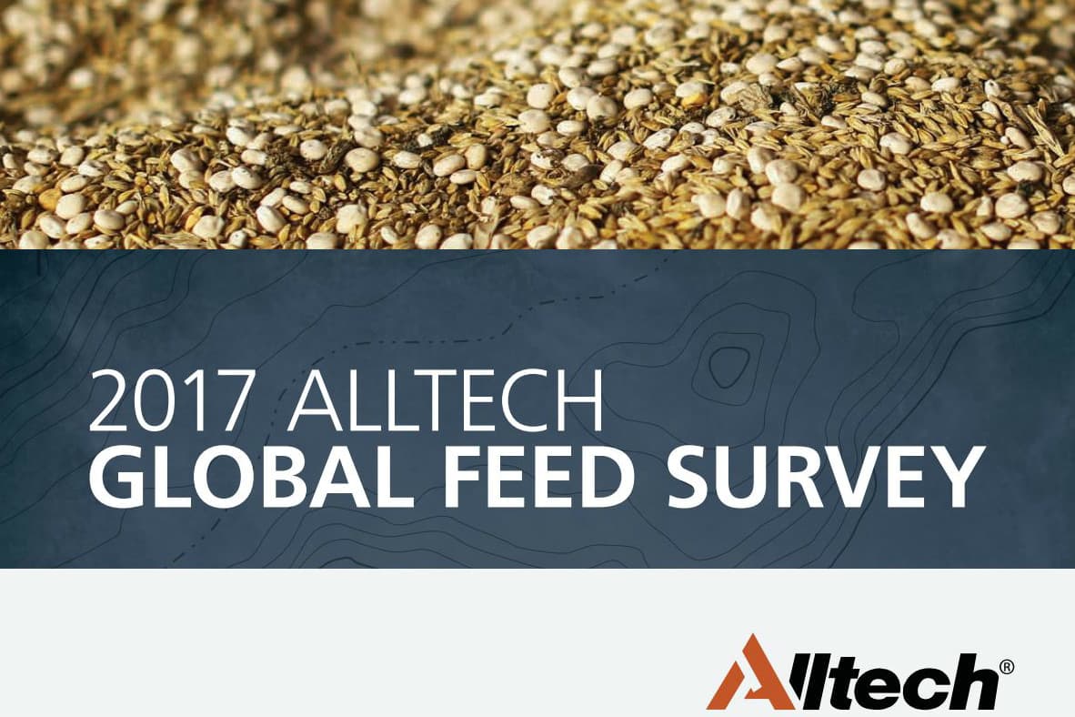 Foto: Global Feed Survey