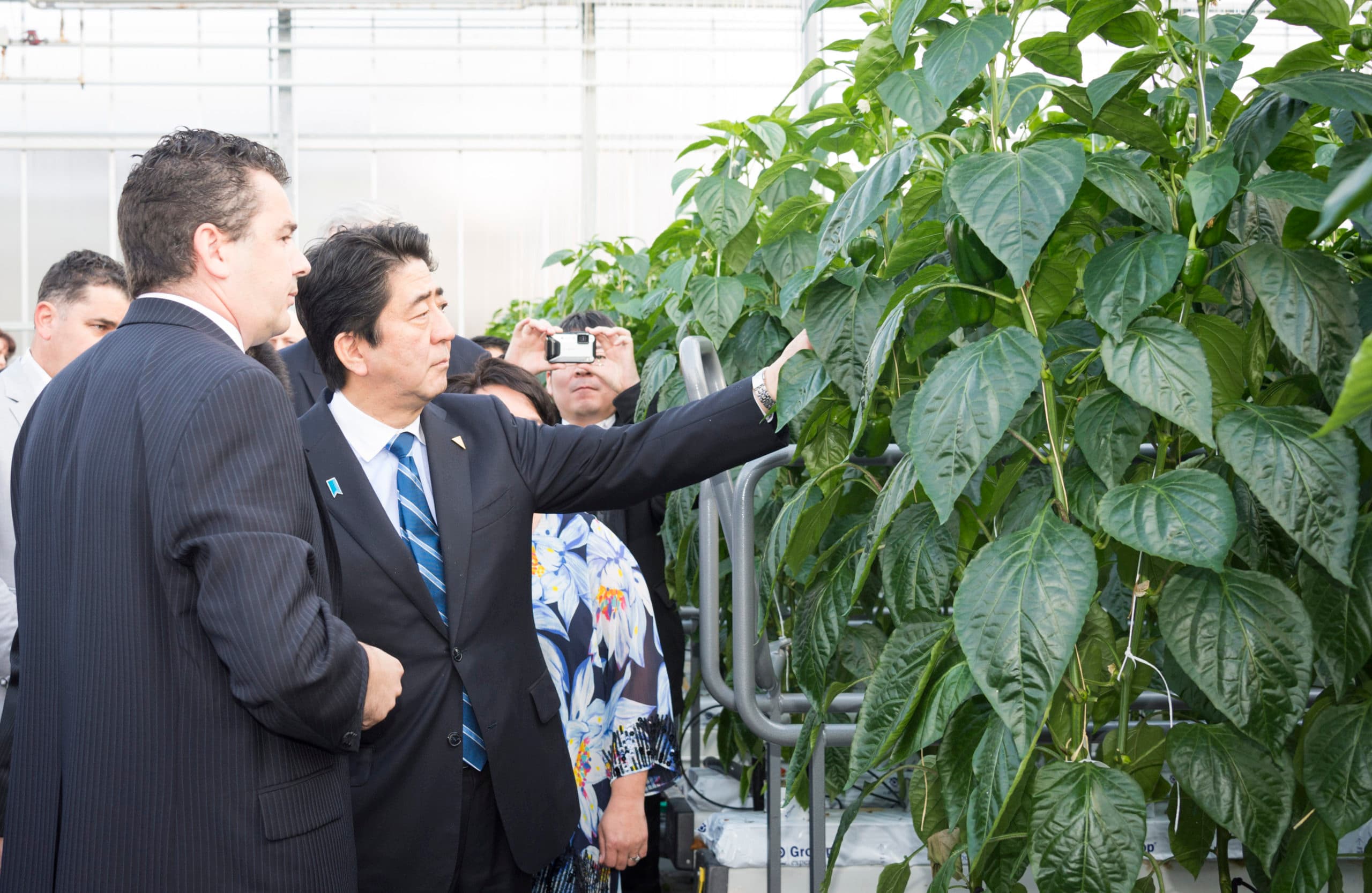 Japan wil een handelsdeal met de EU. - Foto: ANP