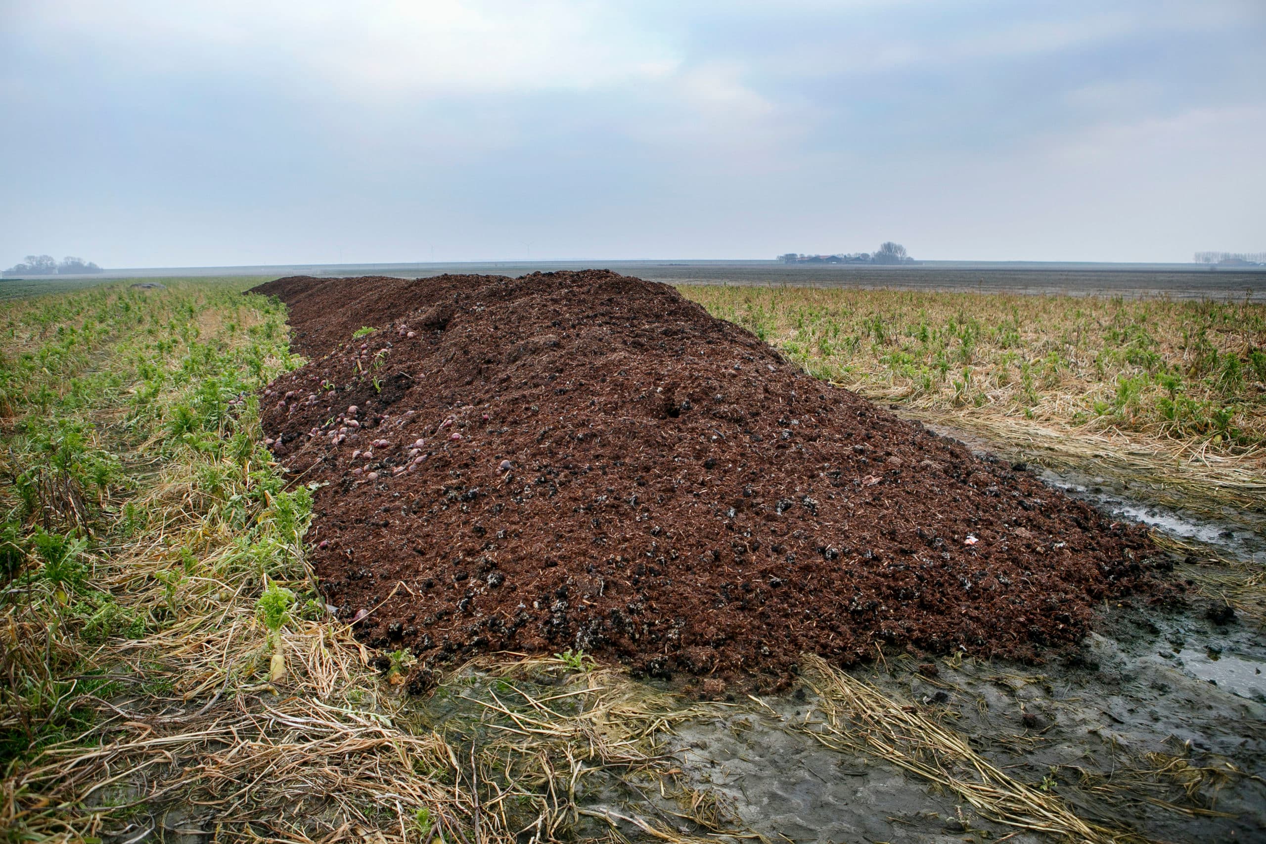 Organische mest op bouwland. - Foto: Roel Dijkstra