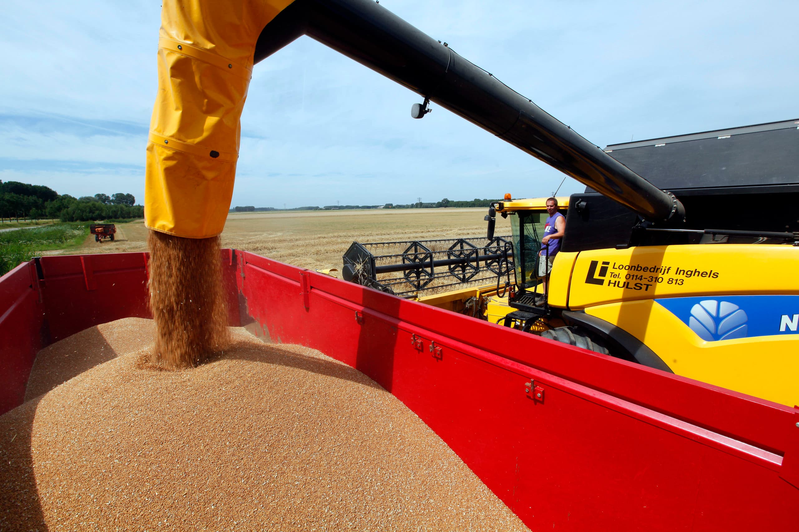 De wereld heeft heel veel graan en soja. - Foto: Henk Riswick
