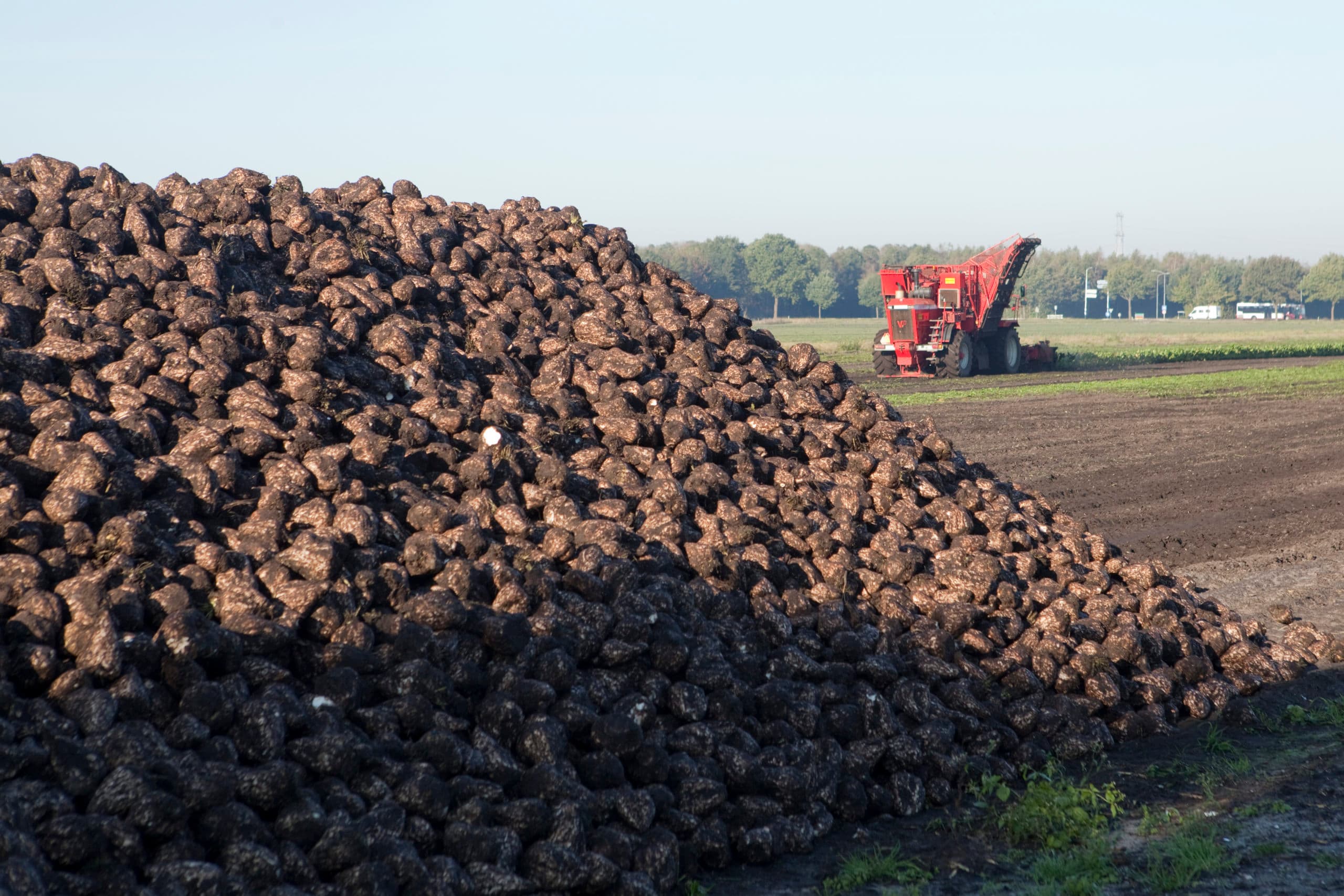 Foto: Koos Groenewold