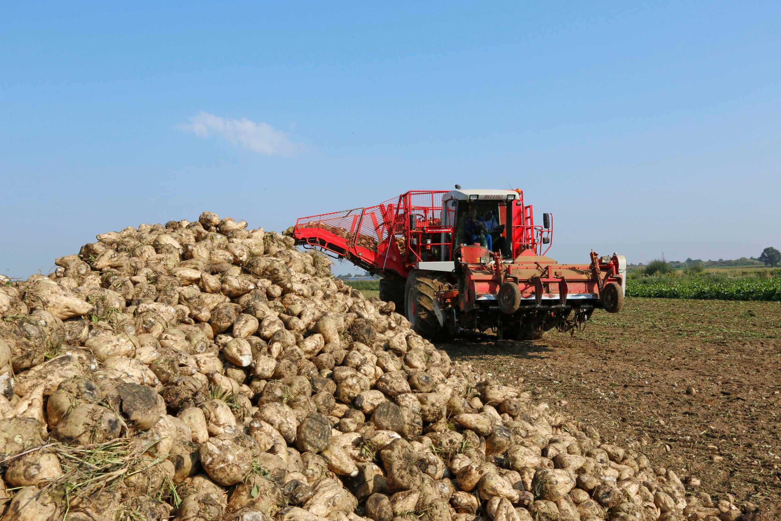 Foto: Henk Riswick