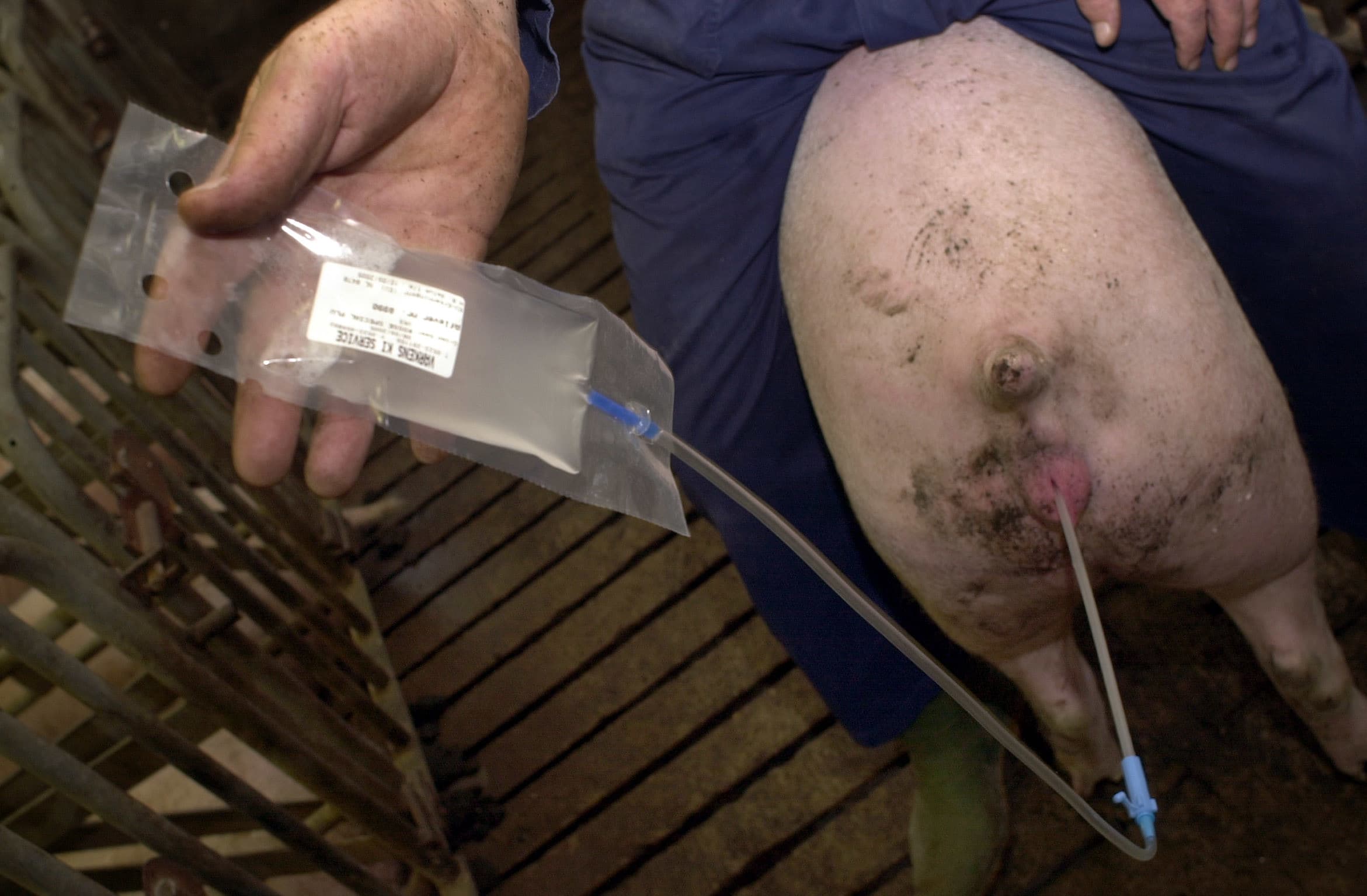 Foto: Frank Uijlenbroek