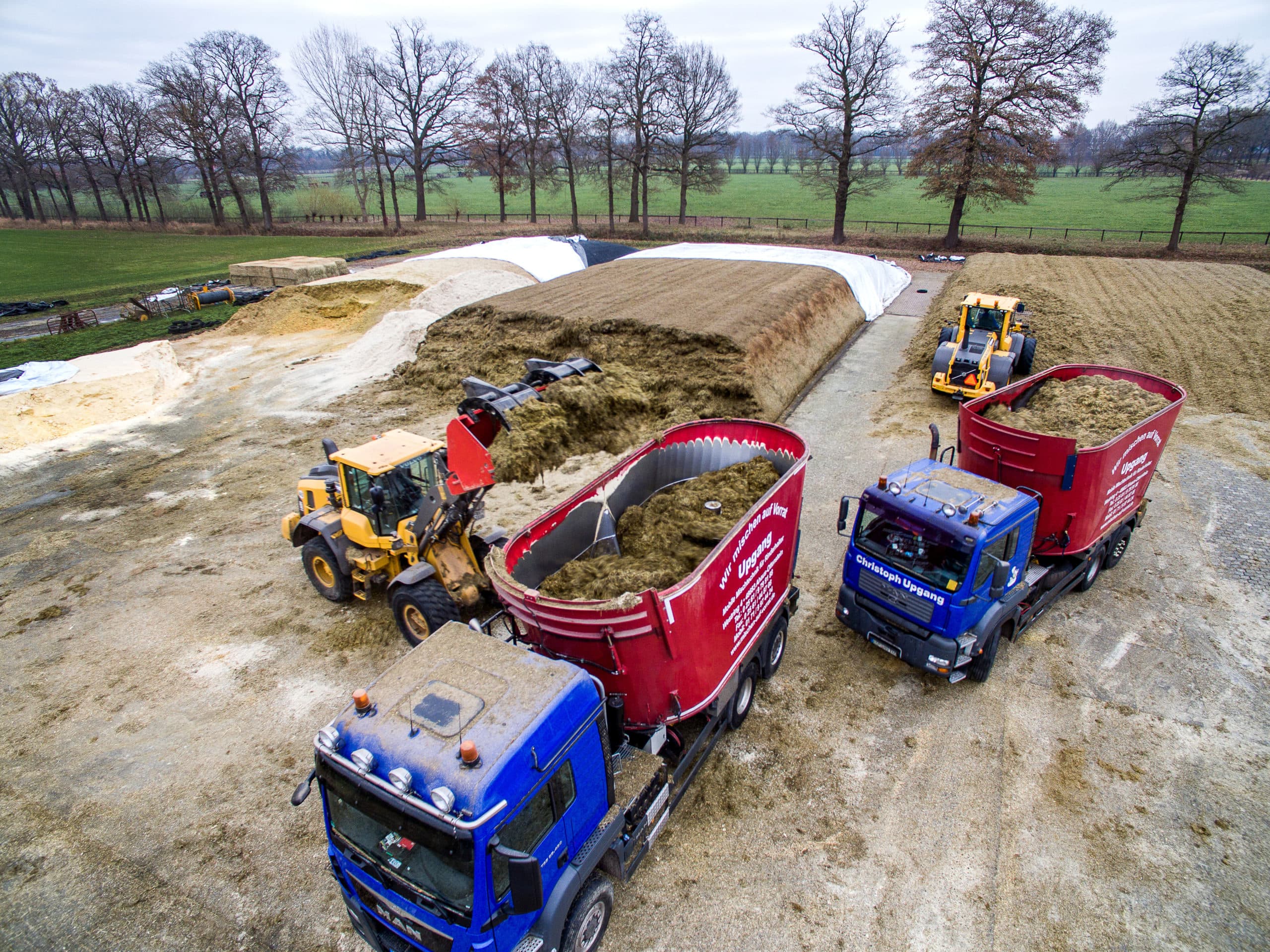 Mengkuil voor stabiliteit in voeren