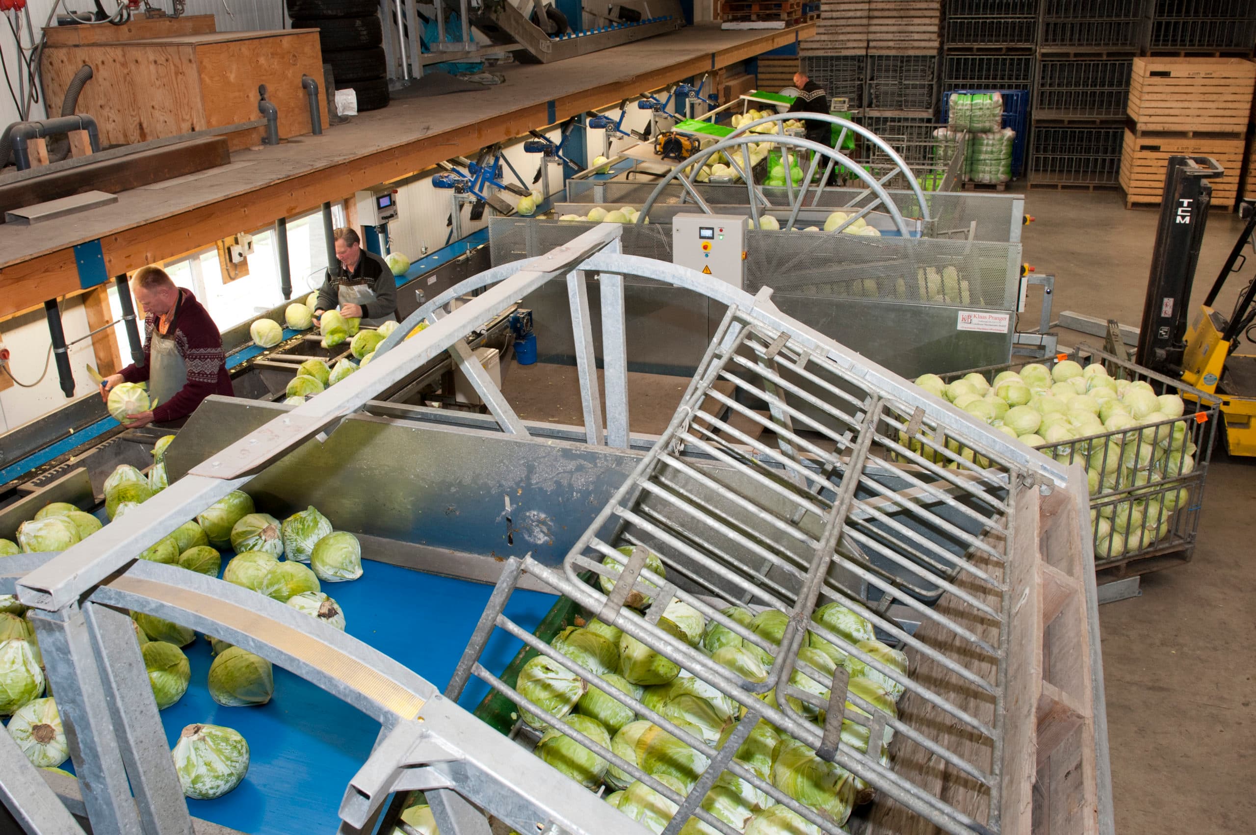 Groentelers willen voorkomen dat ze door de industrie tegen elkaar worden uitgespeeld. - Foto: Fotostudio Wick Natzijl