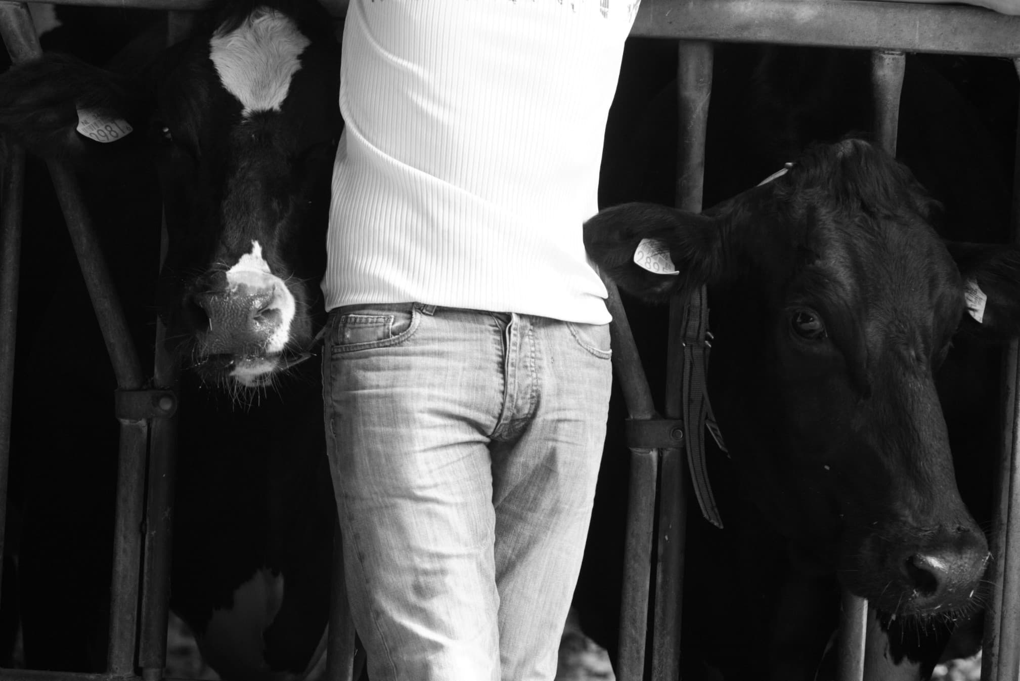 Foto: Hans Prinsen
