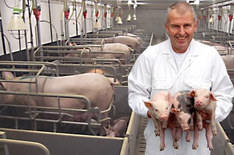 Beeld: RA-SE Genetics