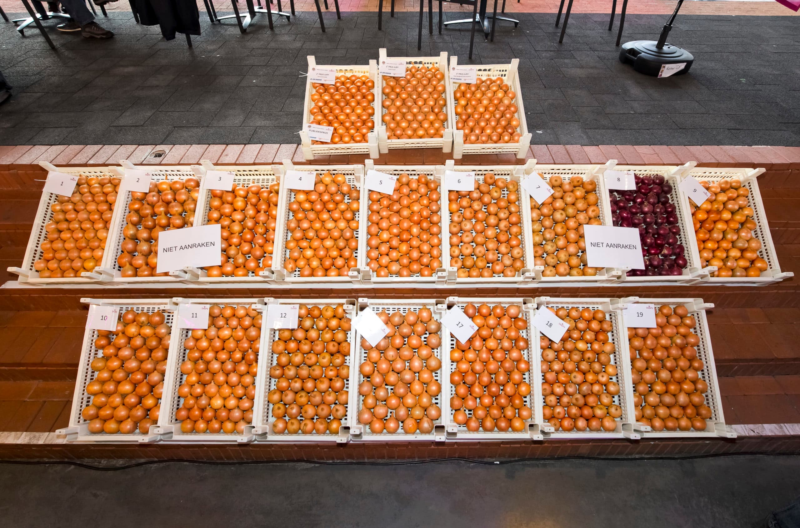 Foto: Ruud Ploeg