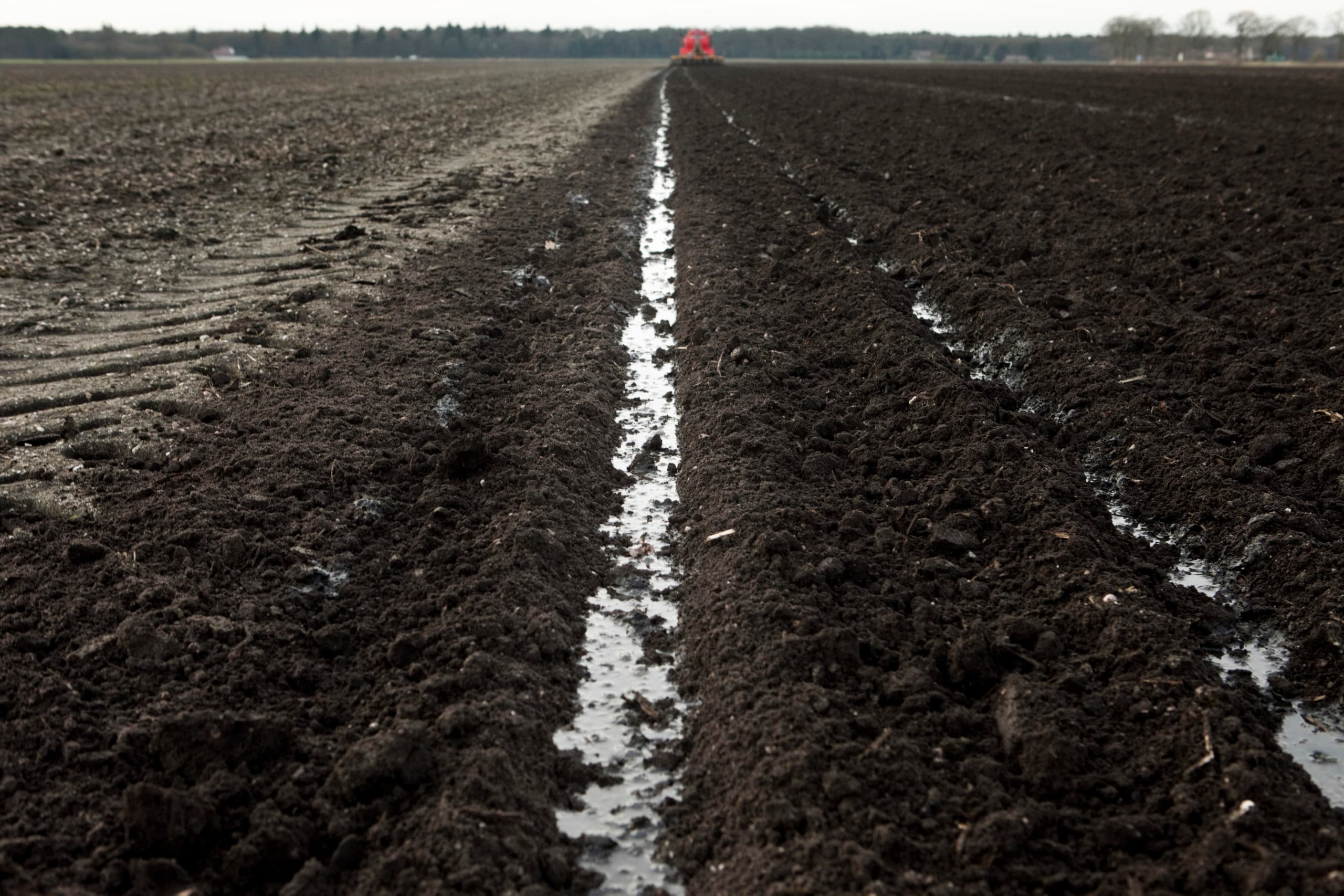 Foto: Bart Nijs