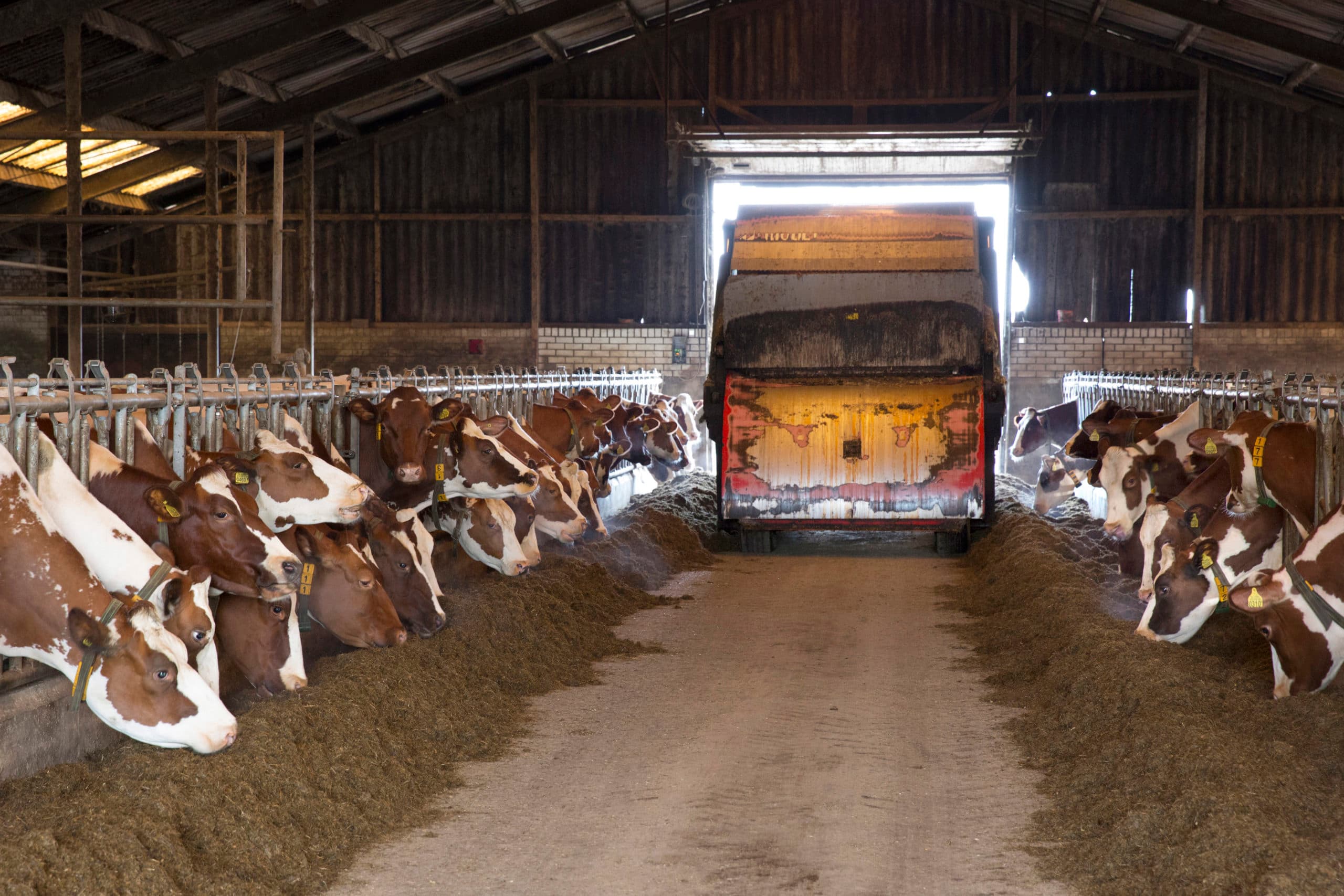 Foto: Koos Groenewold