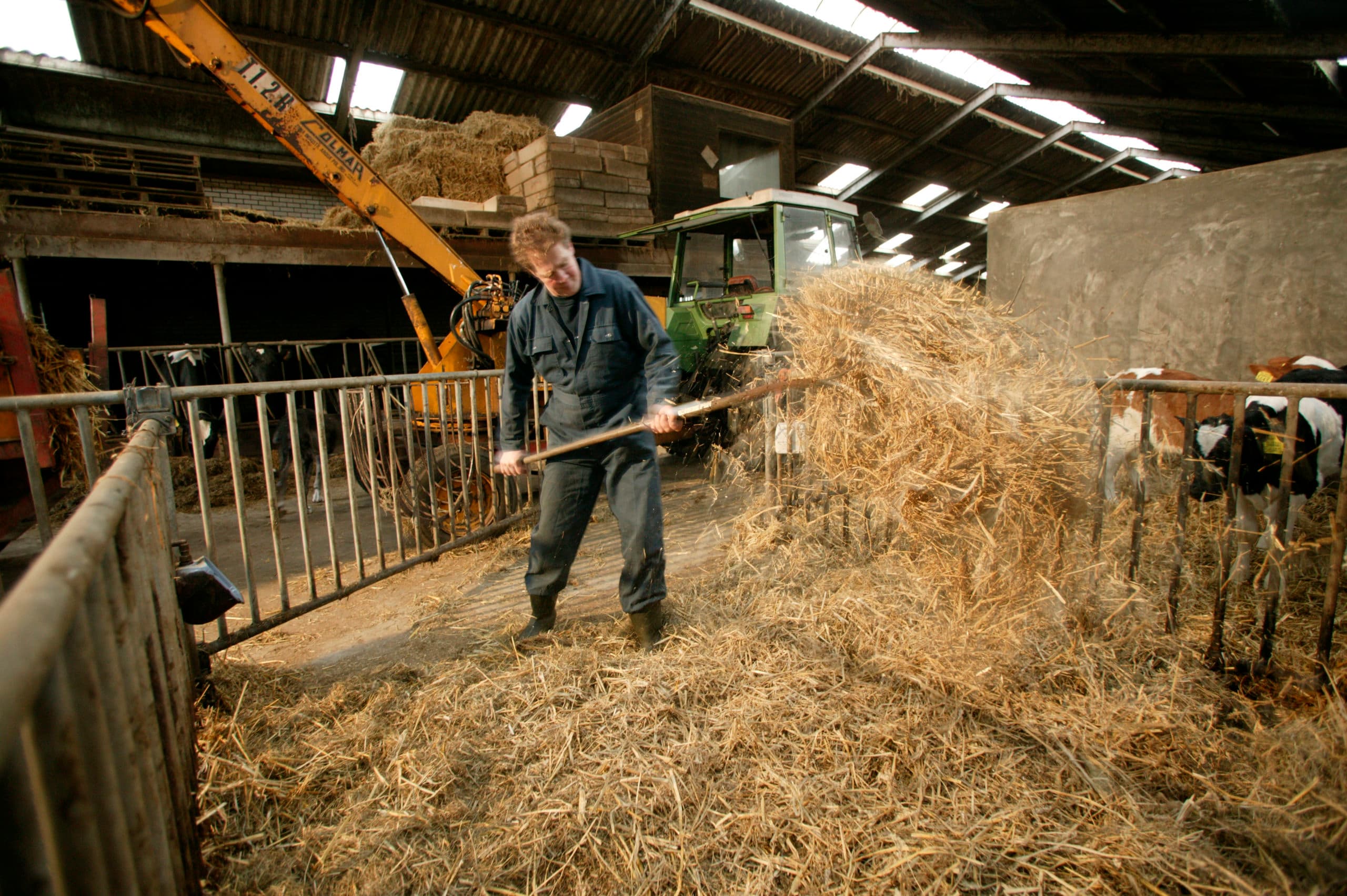 Foto: Jan Willem Schouten