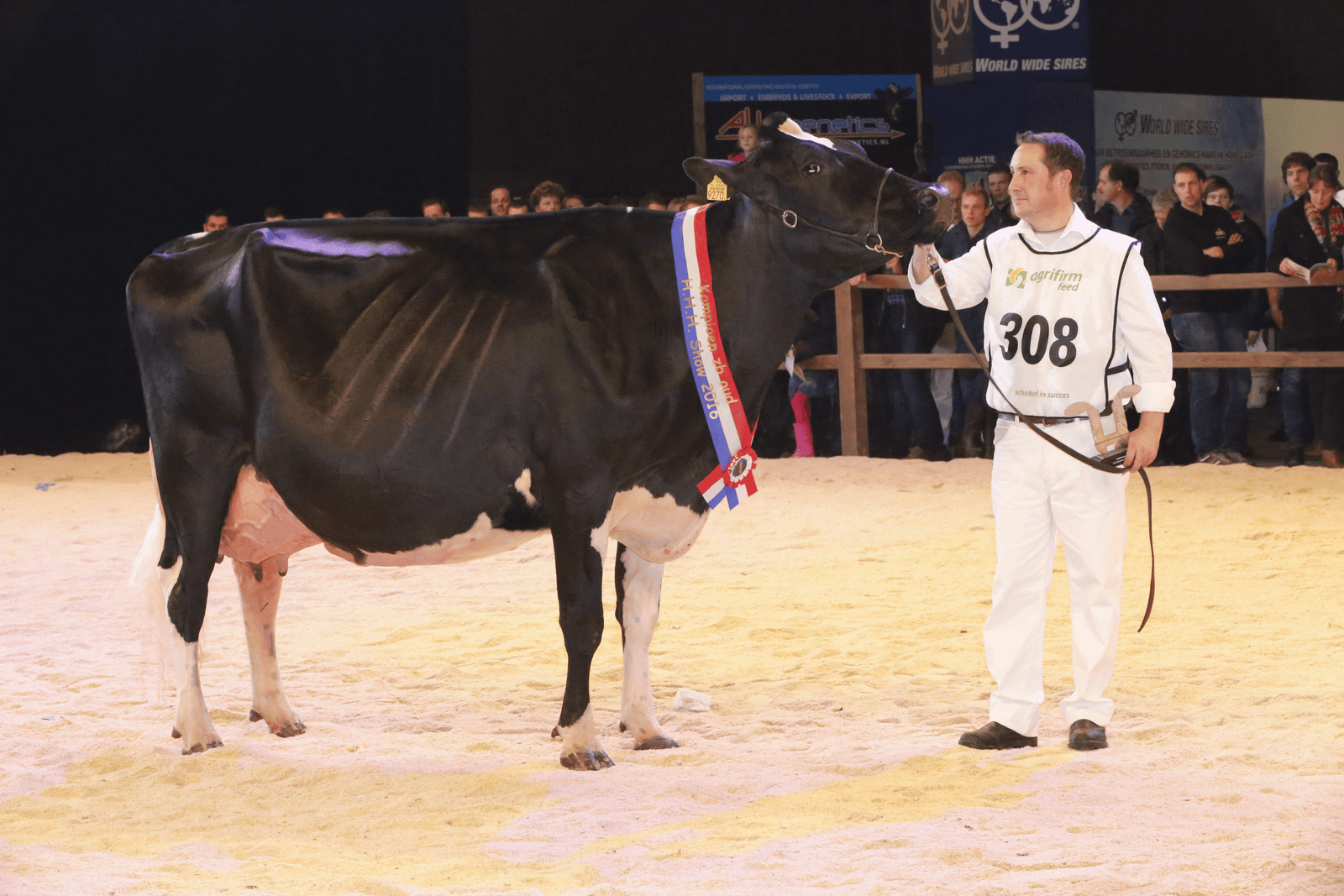 Fokkersfestijn op HHH-show