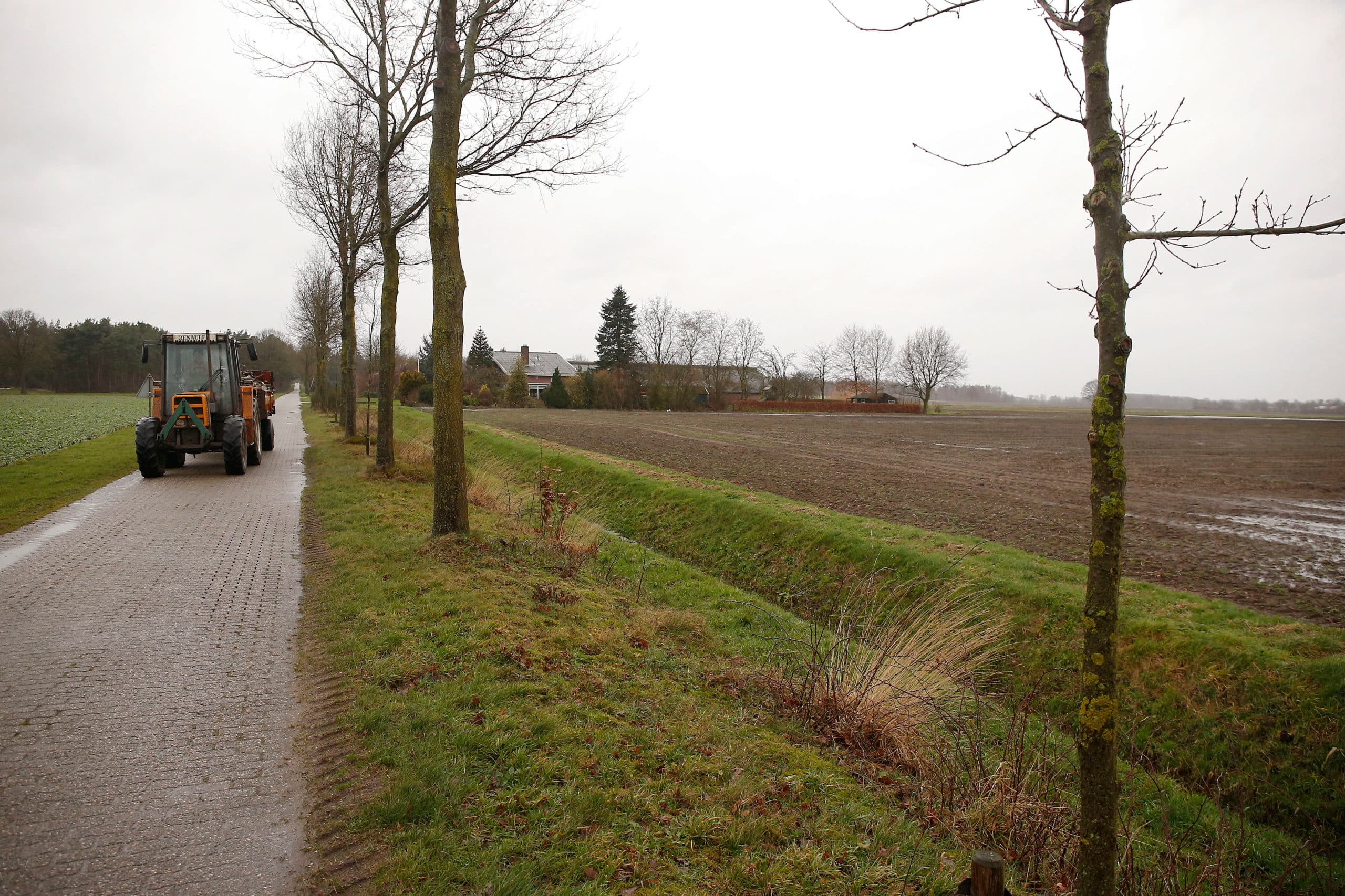 Foto: Hans Prinsen
