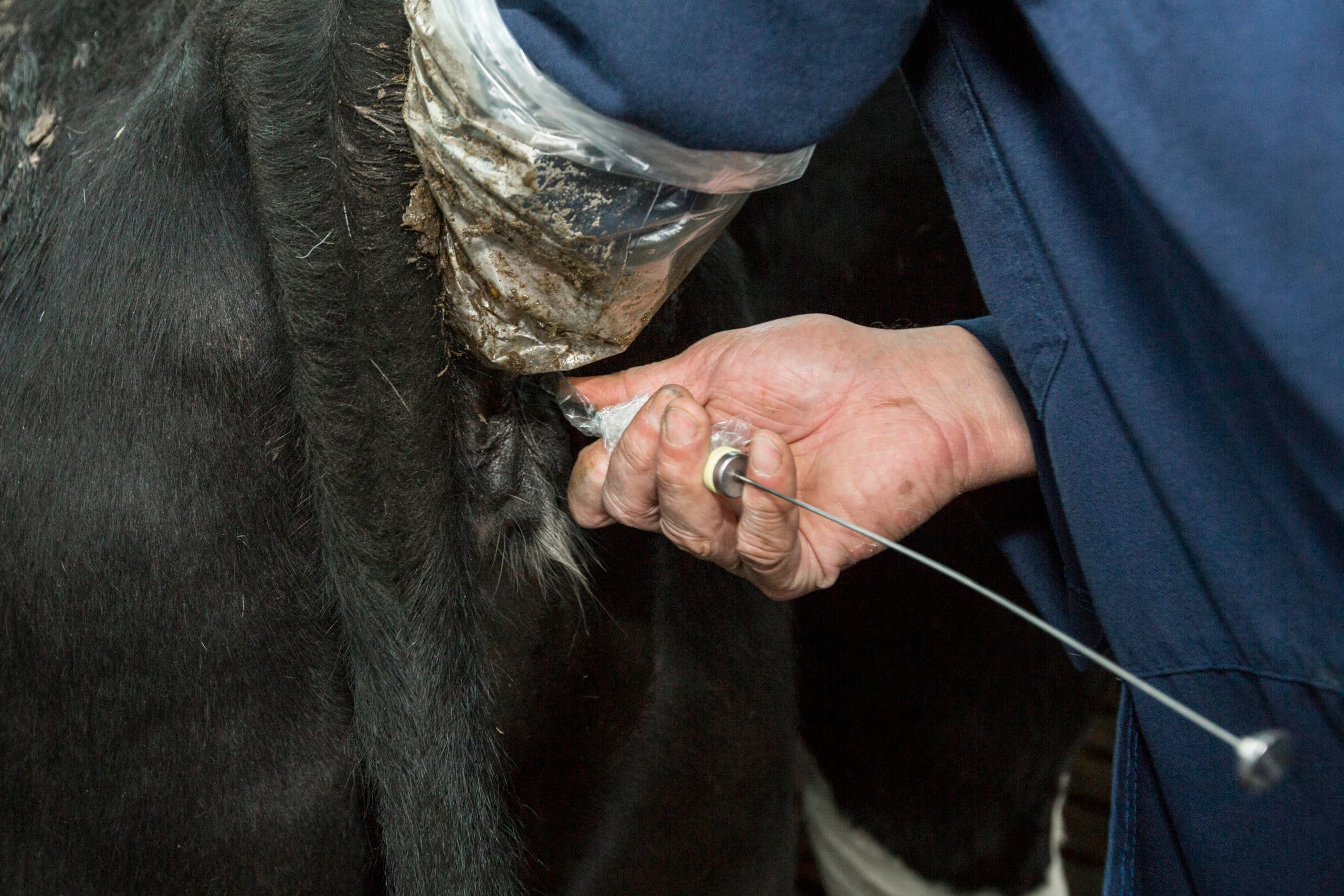 Foto: Koos Groenewold
