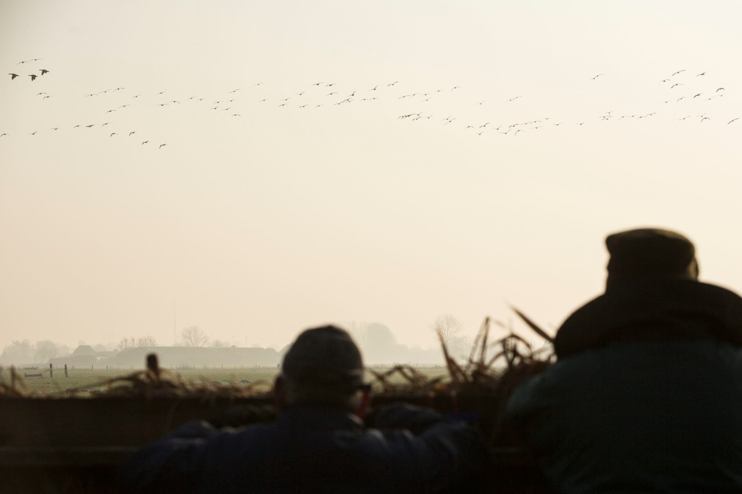 Foto: Koos Groenewold