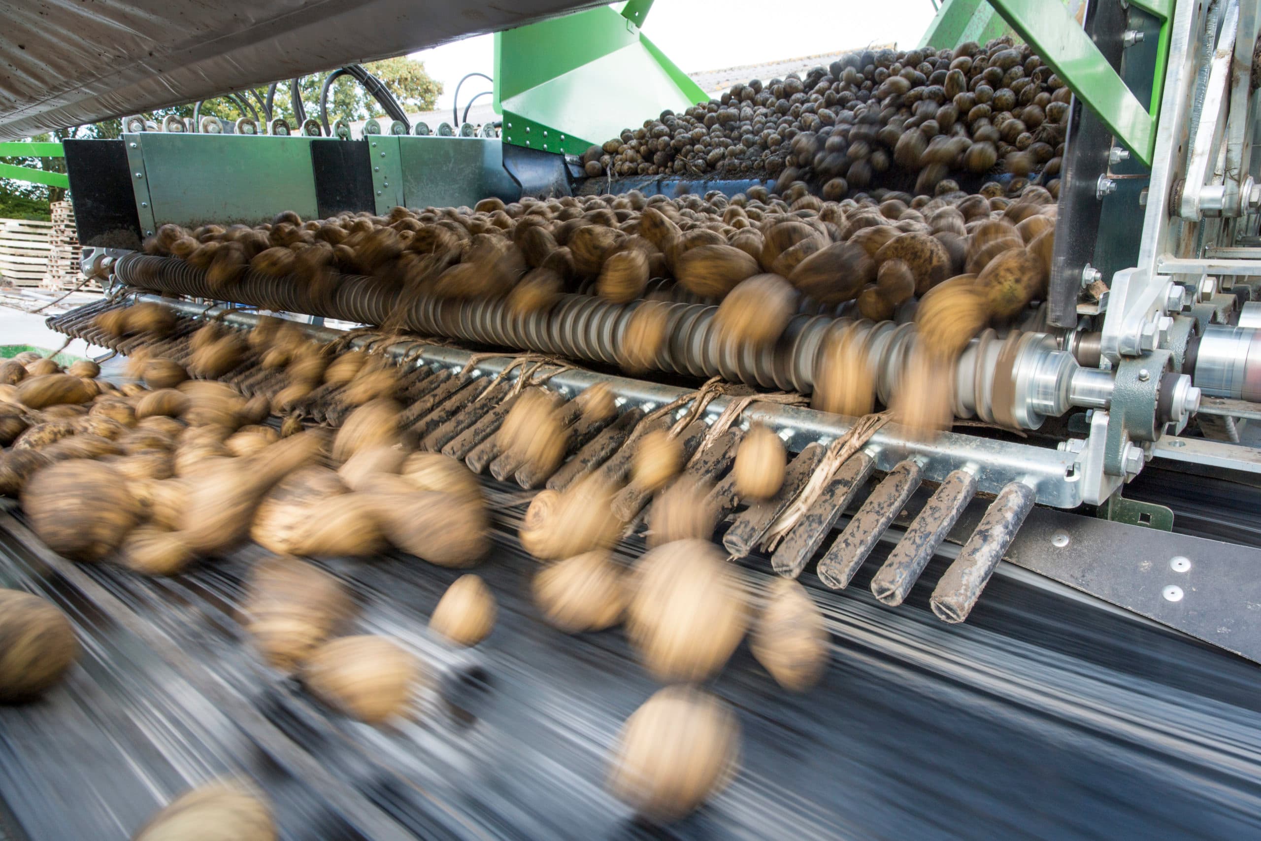 Foto: Koos Groenewold