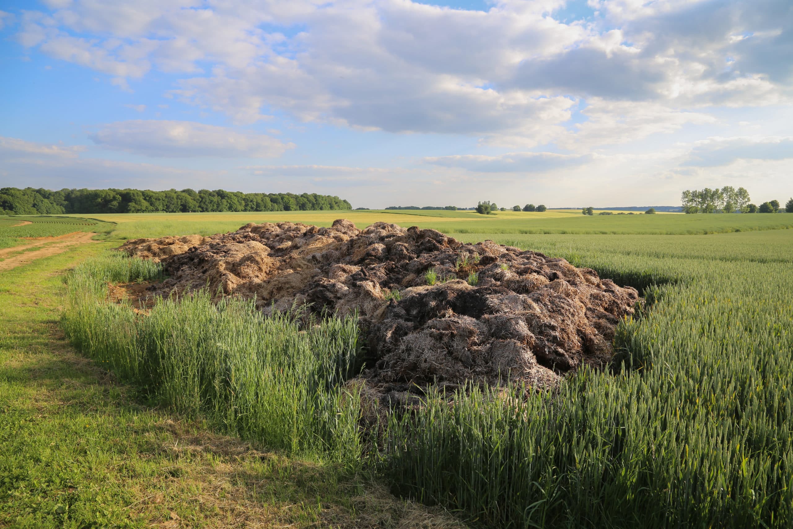 Foto: Matthijs Verhagen