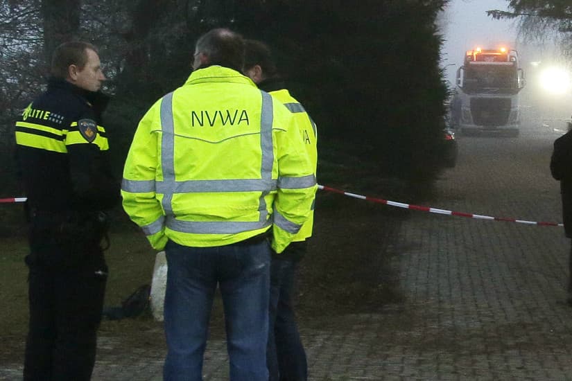 Foto: Ruud Ploeg