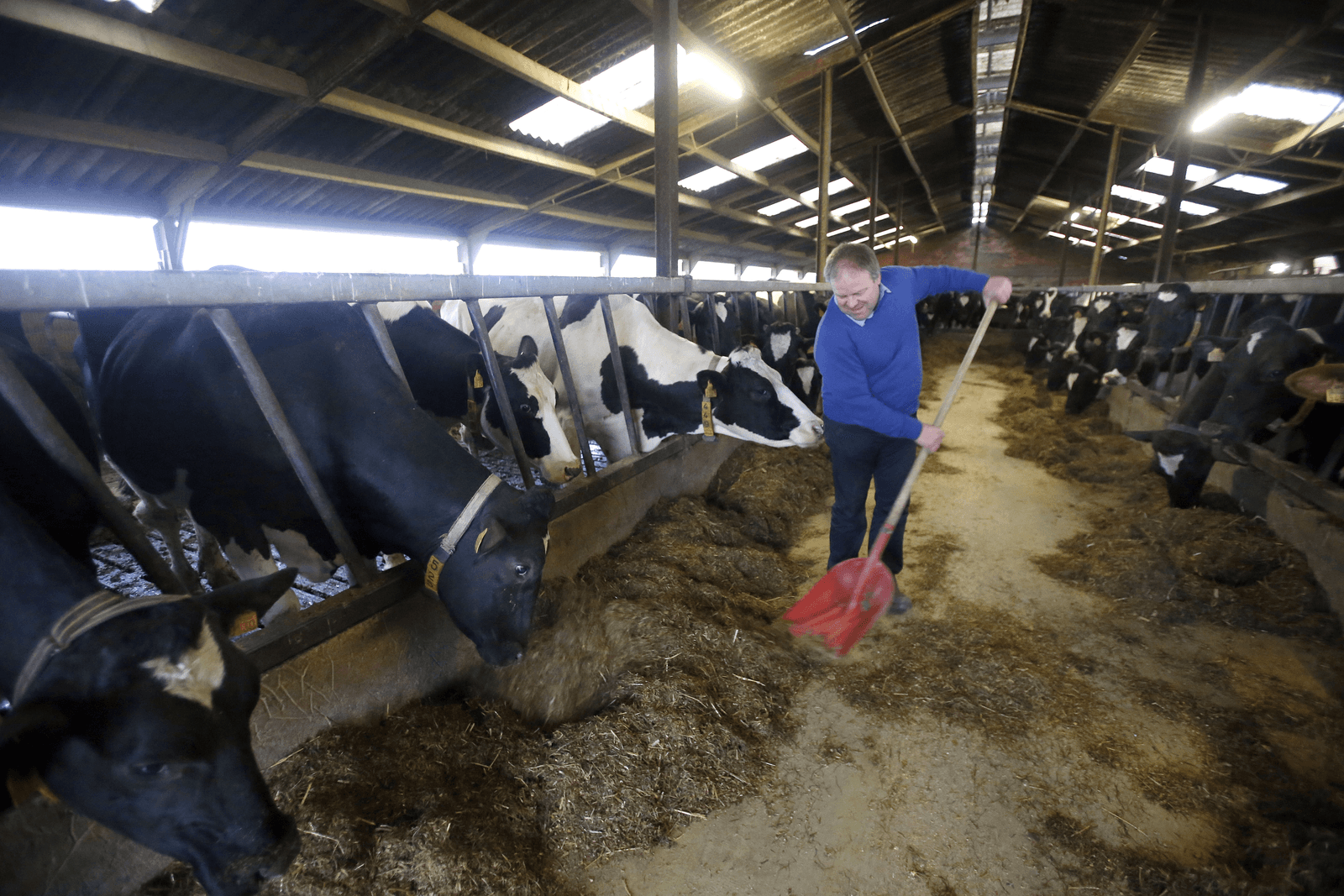 Wie wil nog boer worden? - Foto: Bert Jansen